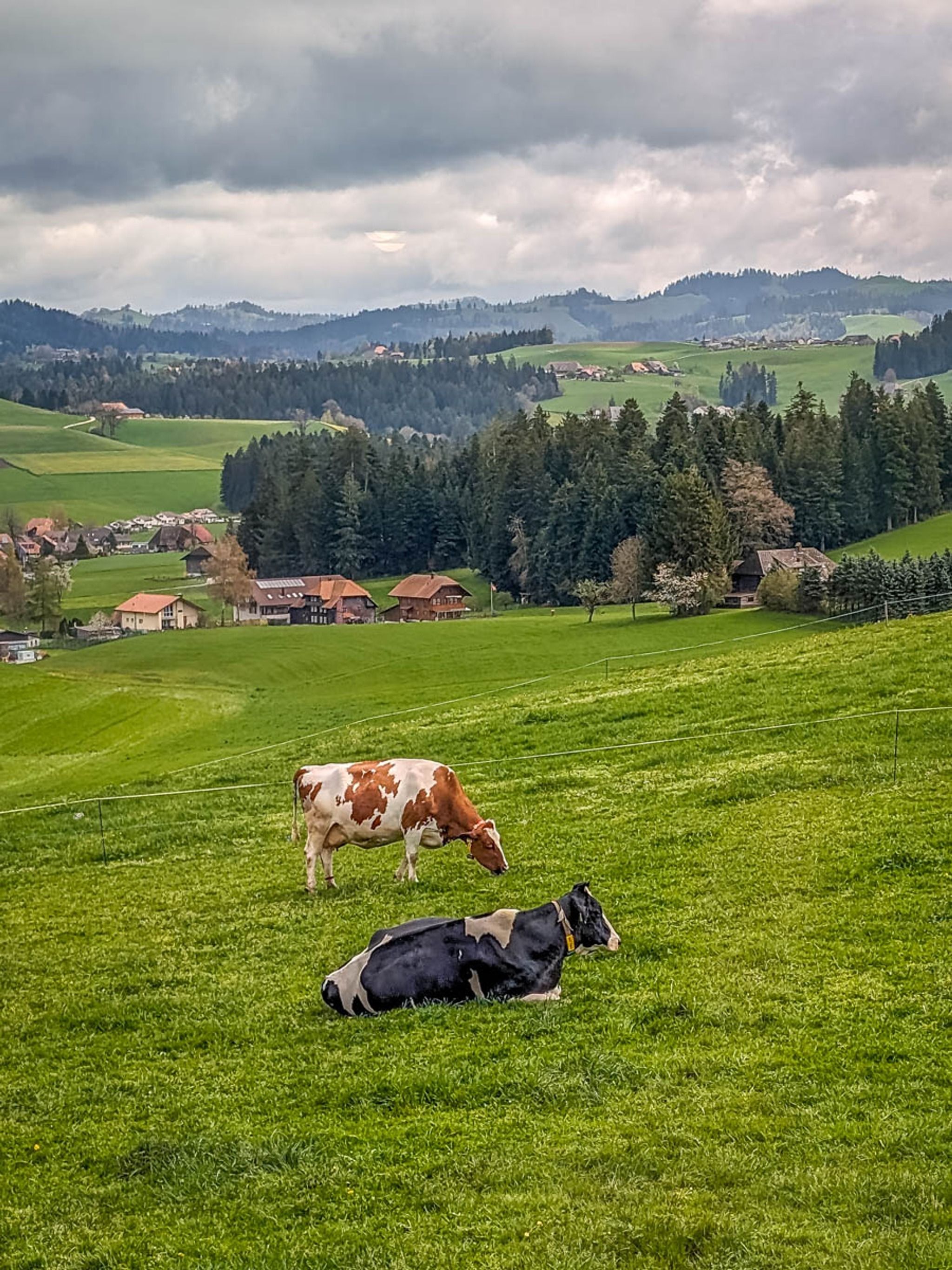 Emmental Scenic Drive