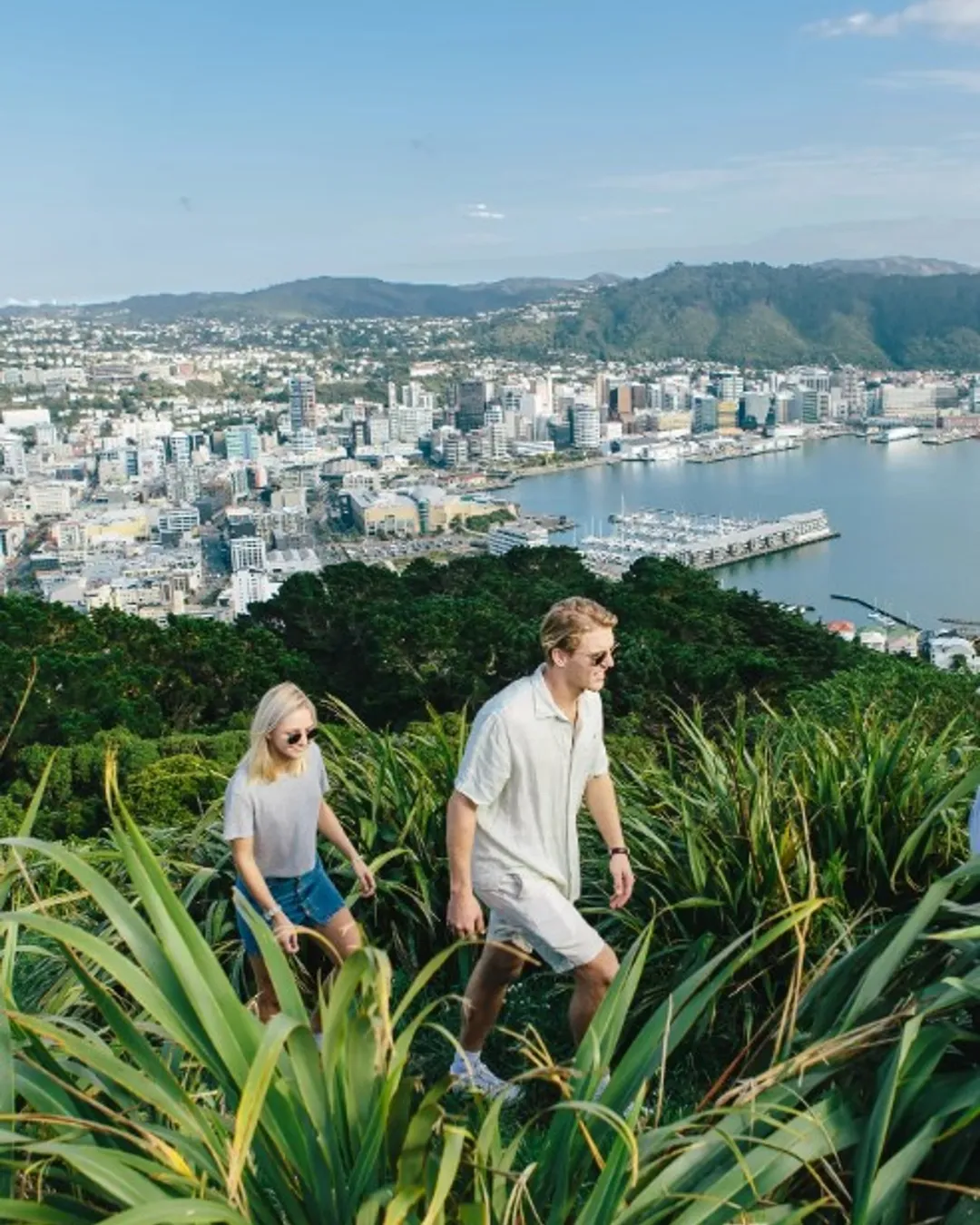 Mount Victoria Lookout Wellington New Zealand