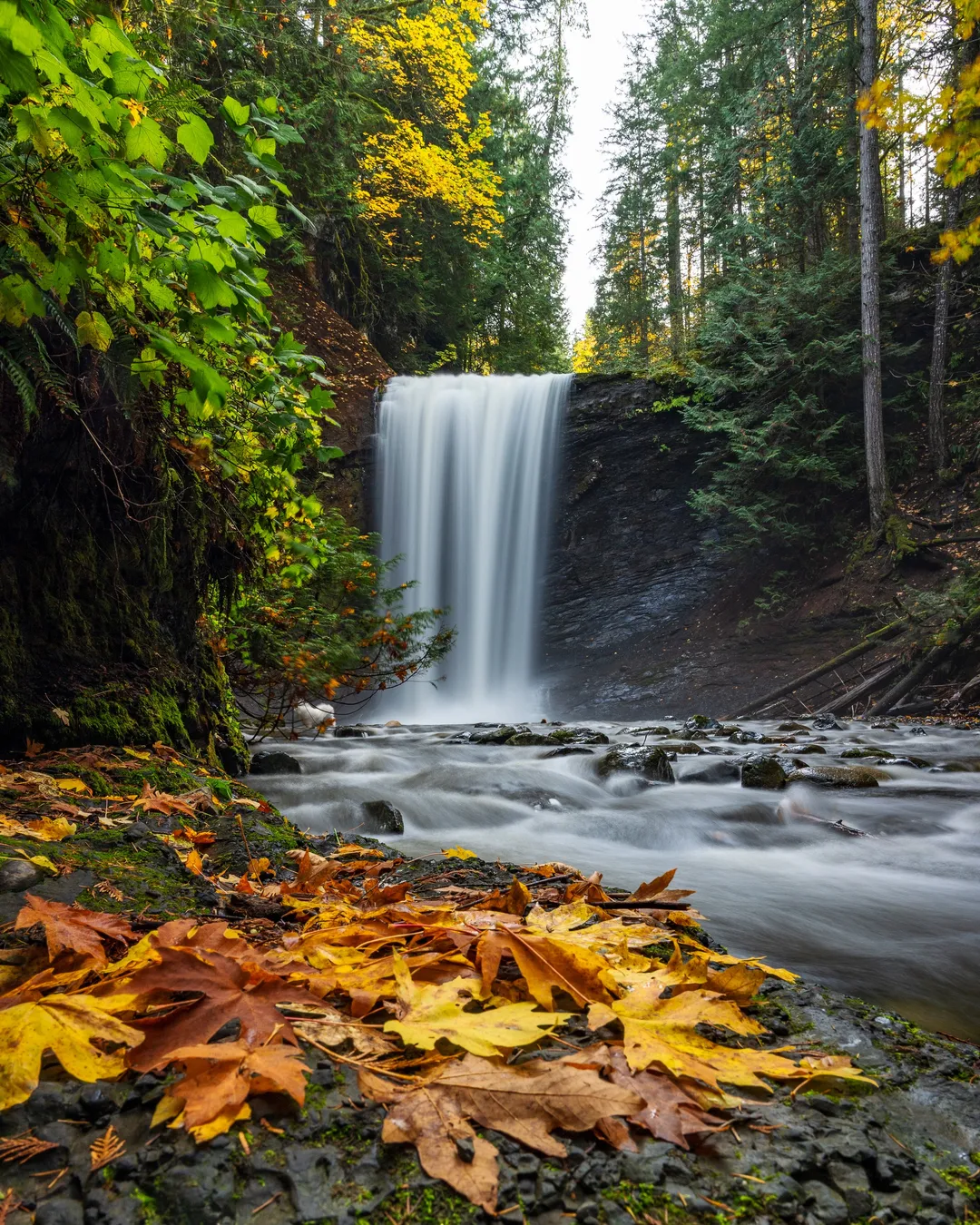 Ammonite Falls