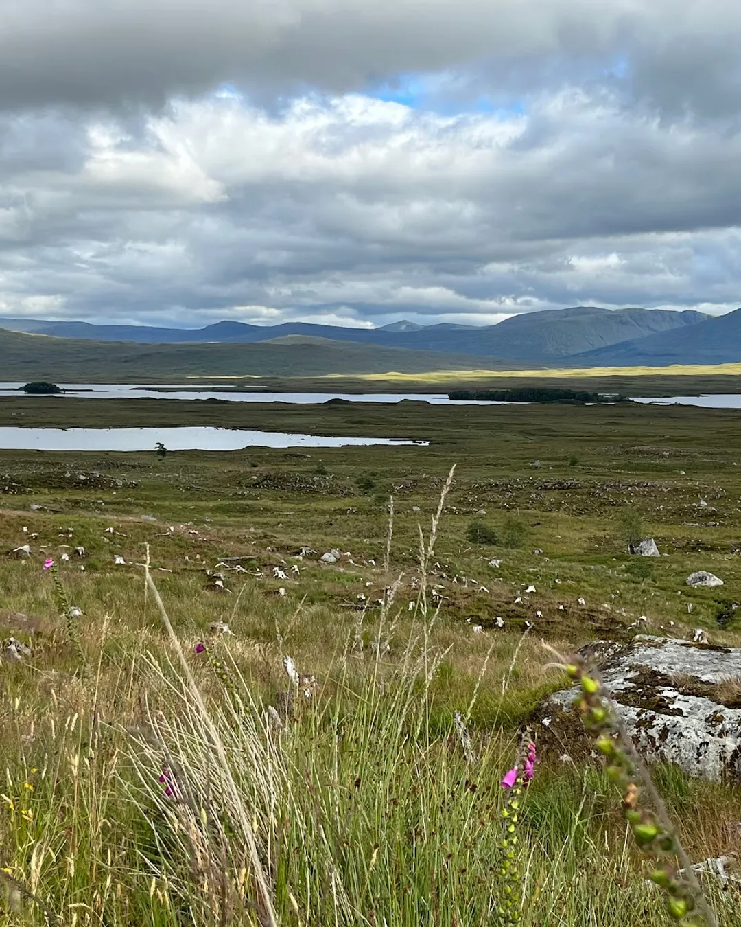 Rannoch Moor Viewpoint