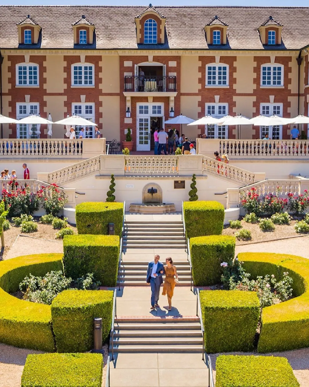 Domaine Carneros