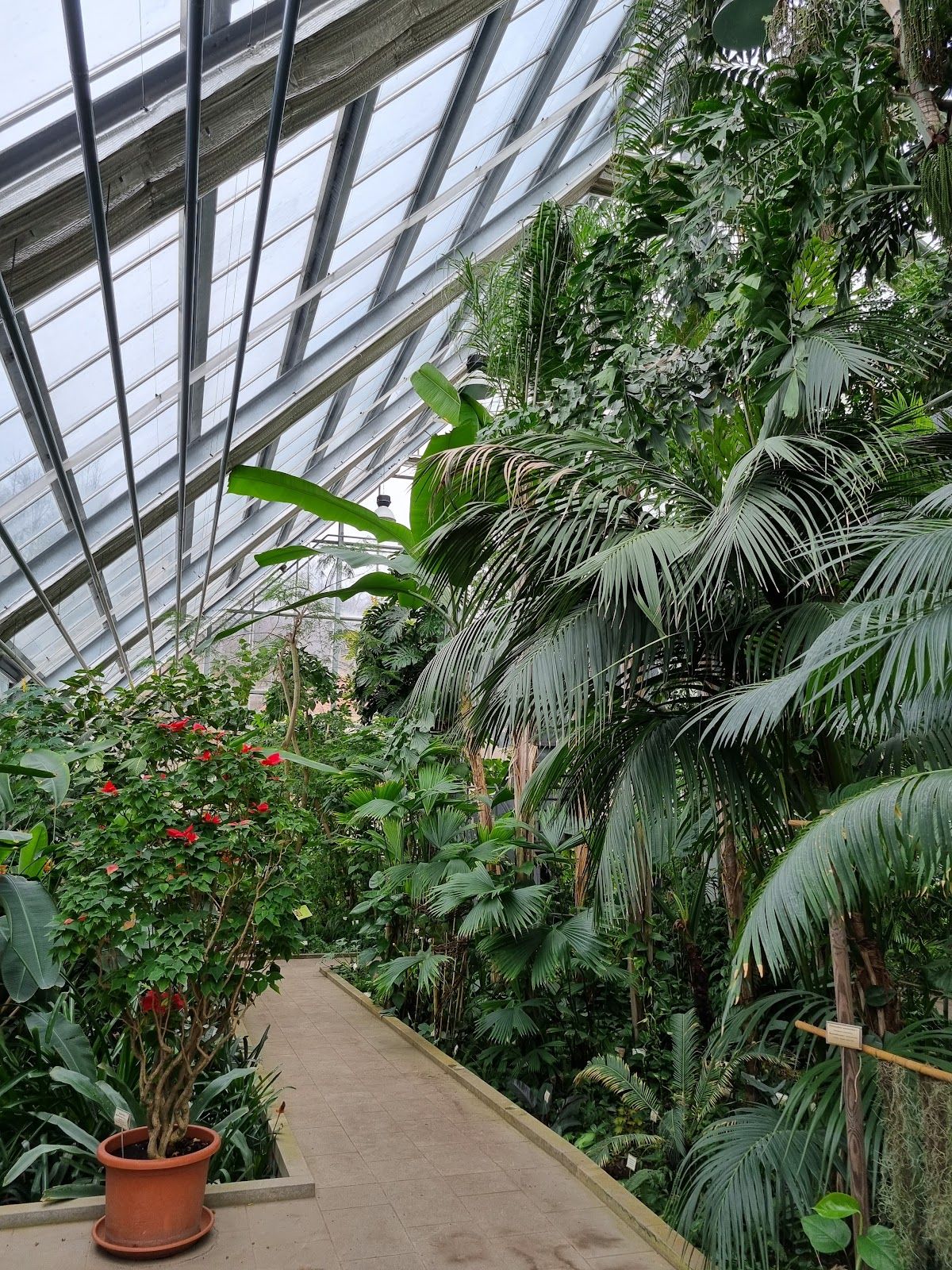 Rastlinjak Tivoli Botanični vrt Univerze v Ljubljani