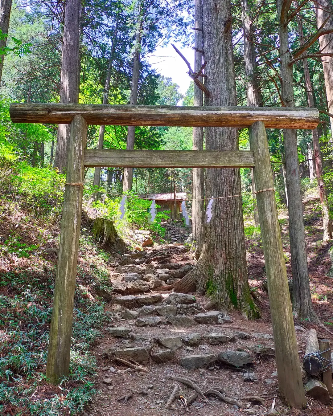 Mt. Odake