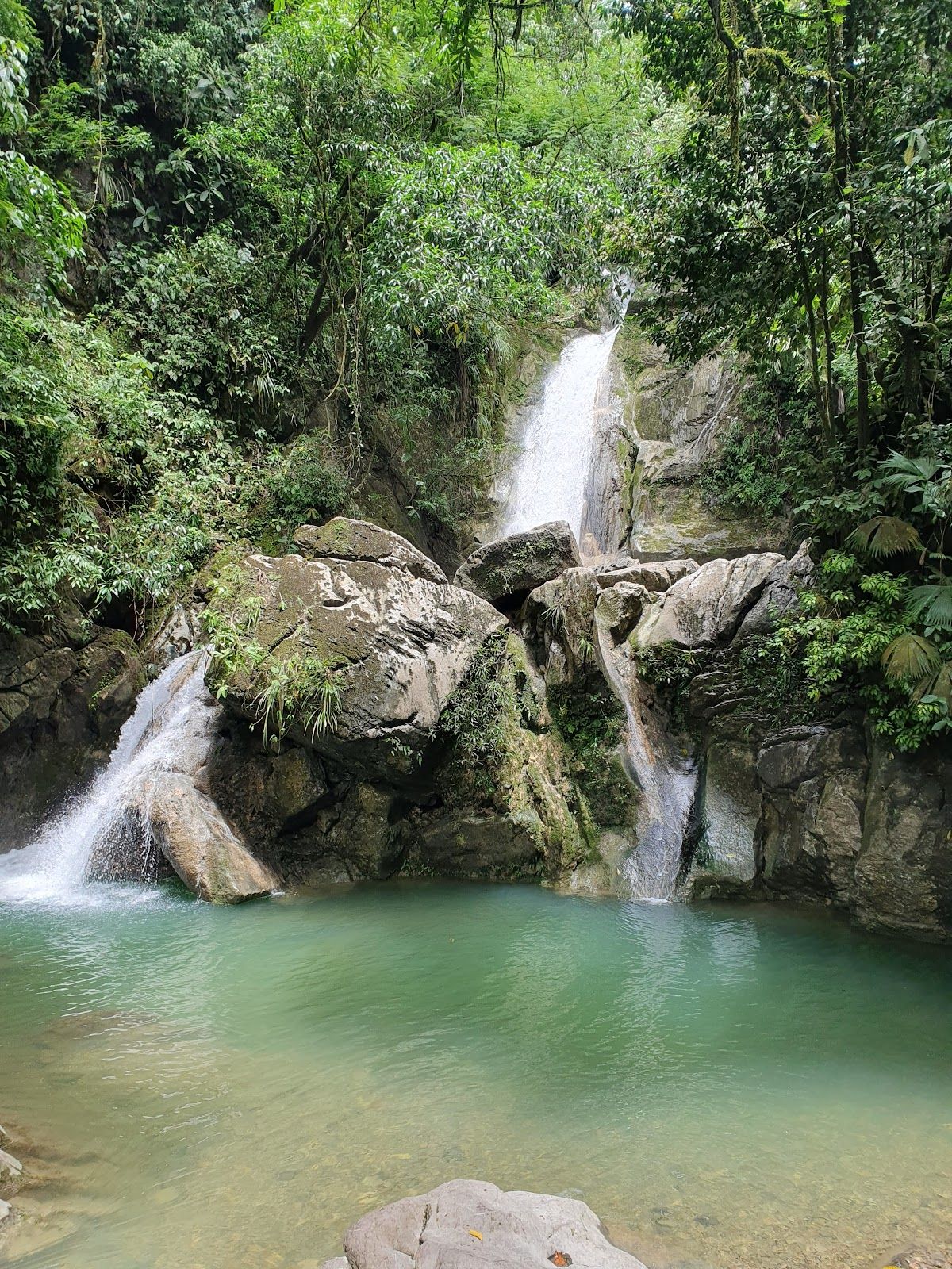 Tingo Maria National Park