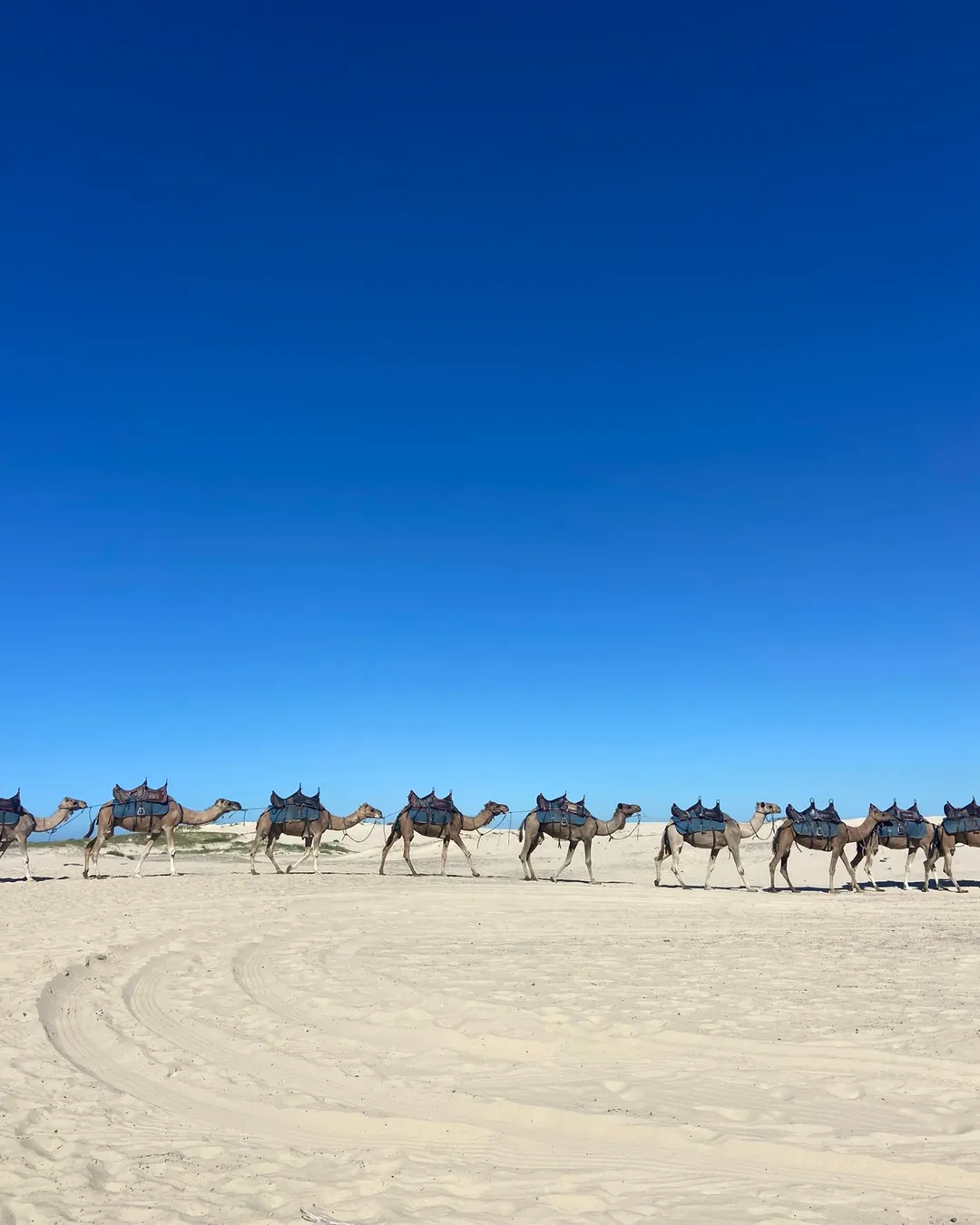 Stockton Sand Dunes