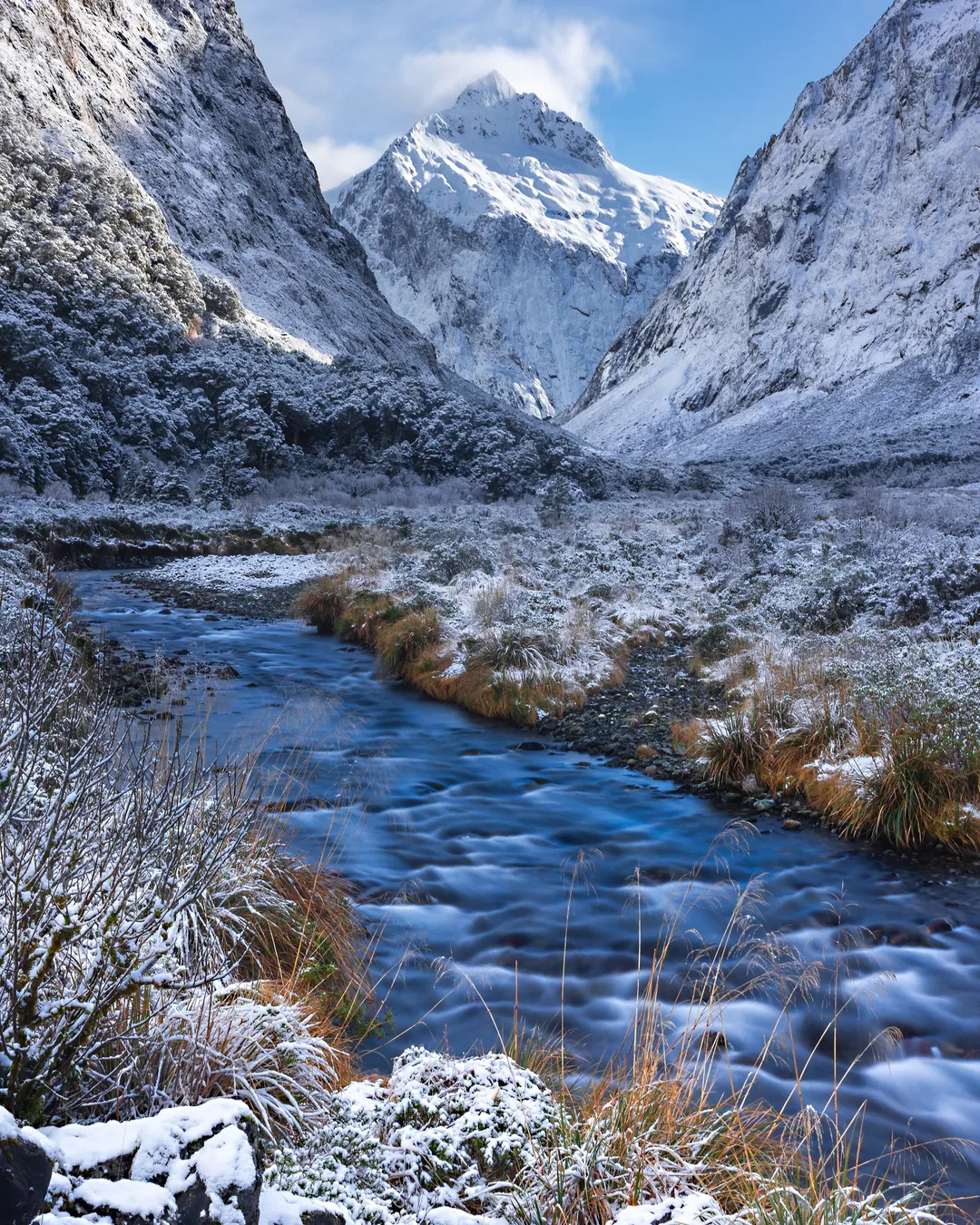 Monkey Creek Fiordland