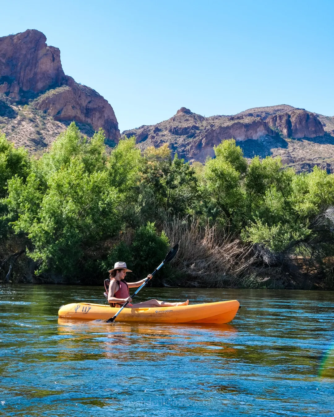 Saguaro Lake