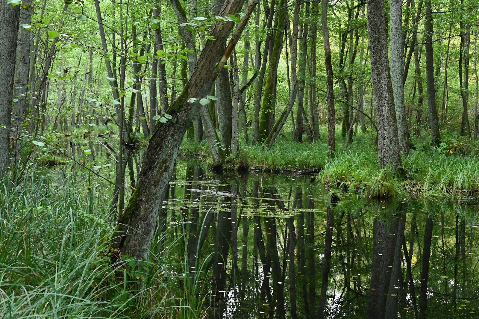 Barnim Naturpark