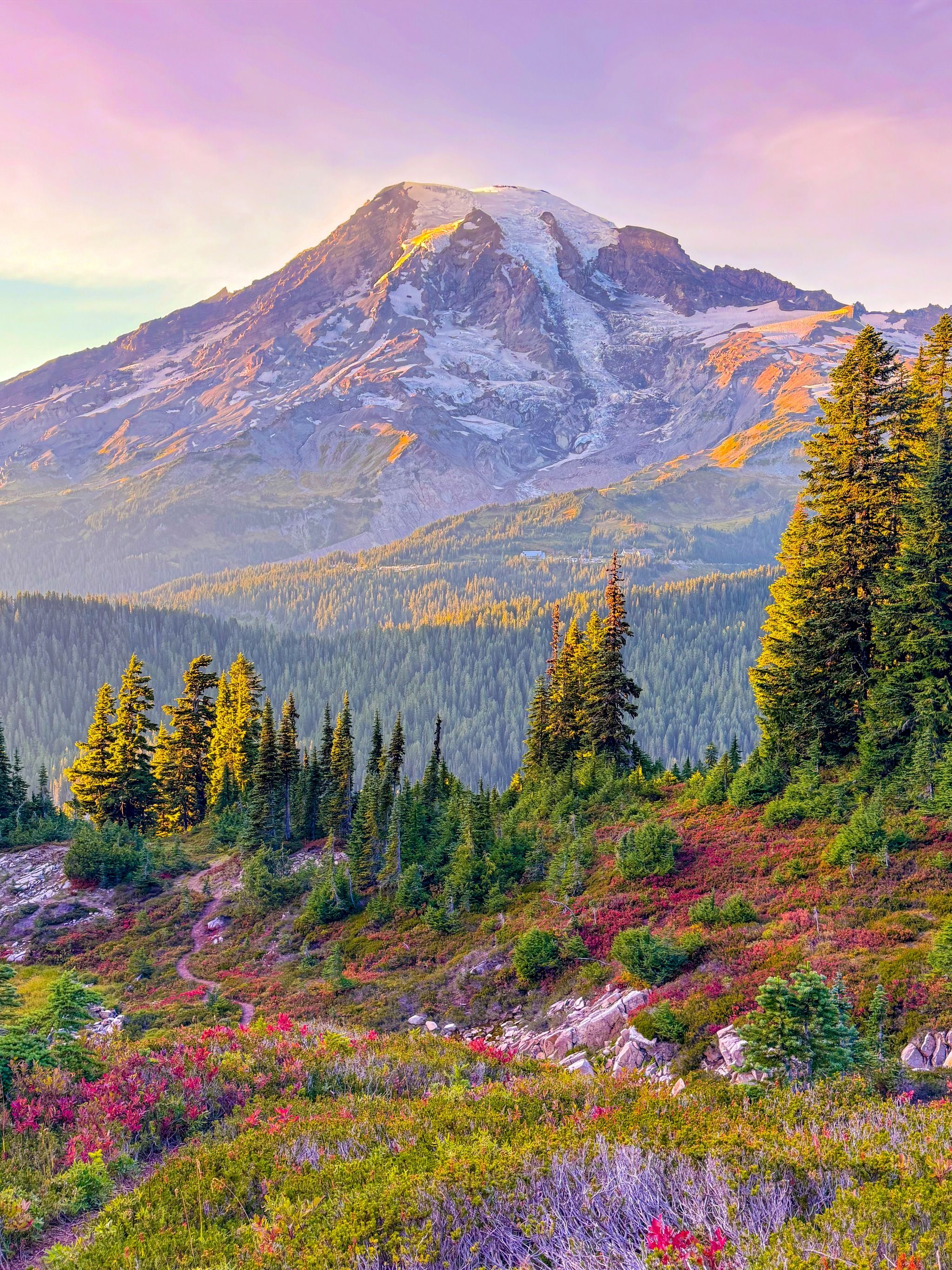 Mount Rainier National Park