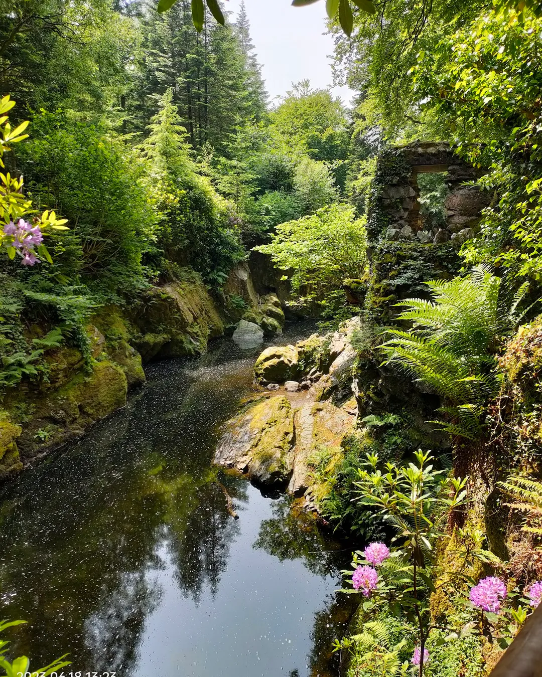 Tollymore Forest Park