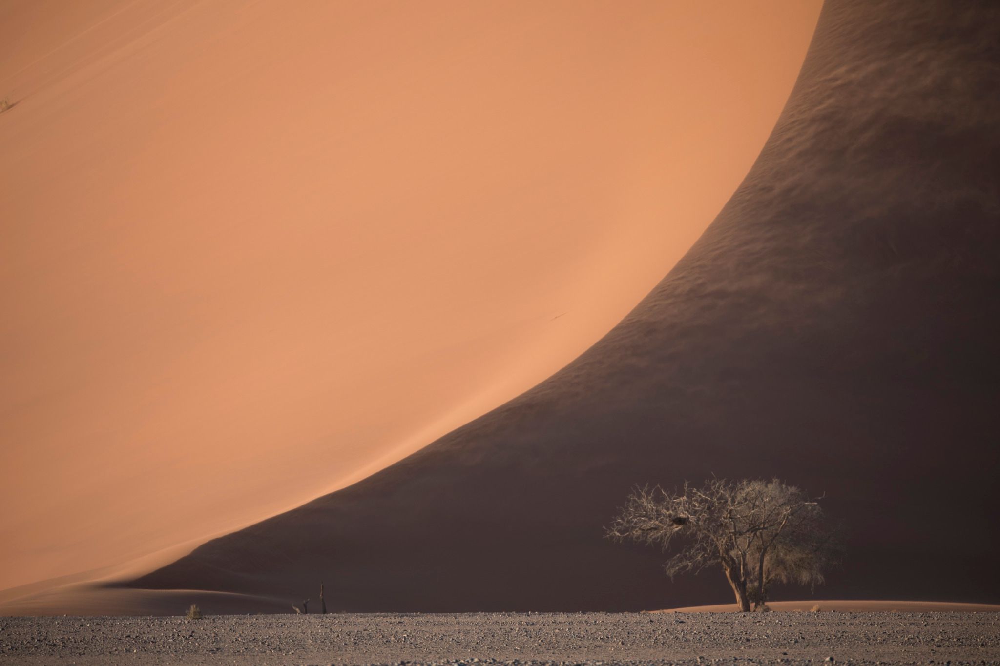 Dune 40 