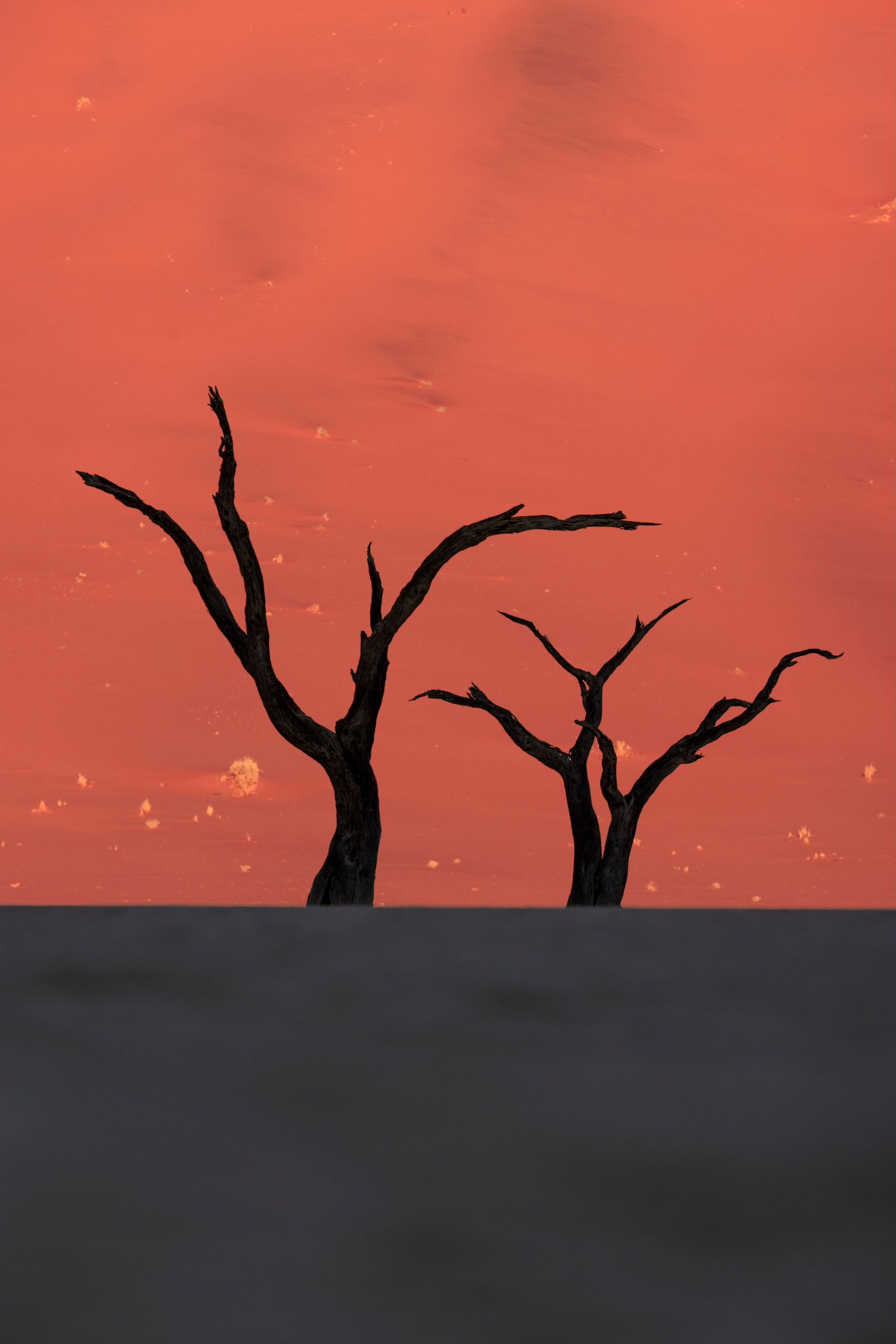 Deadvlei
