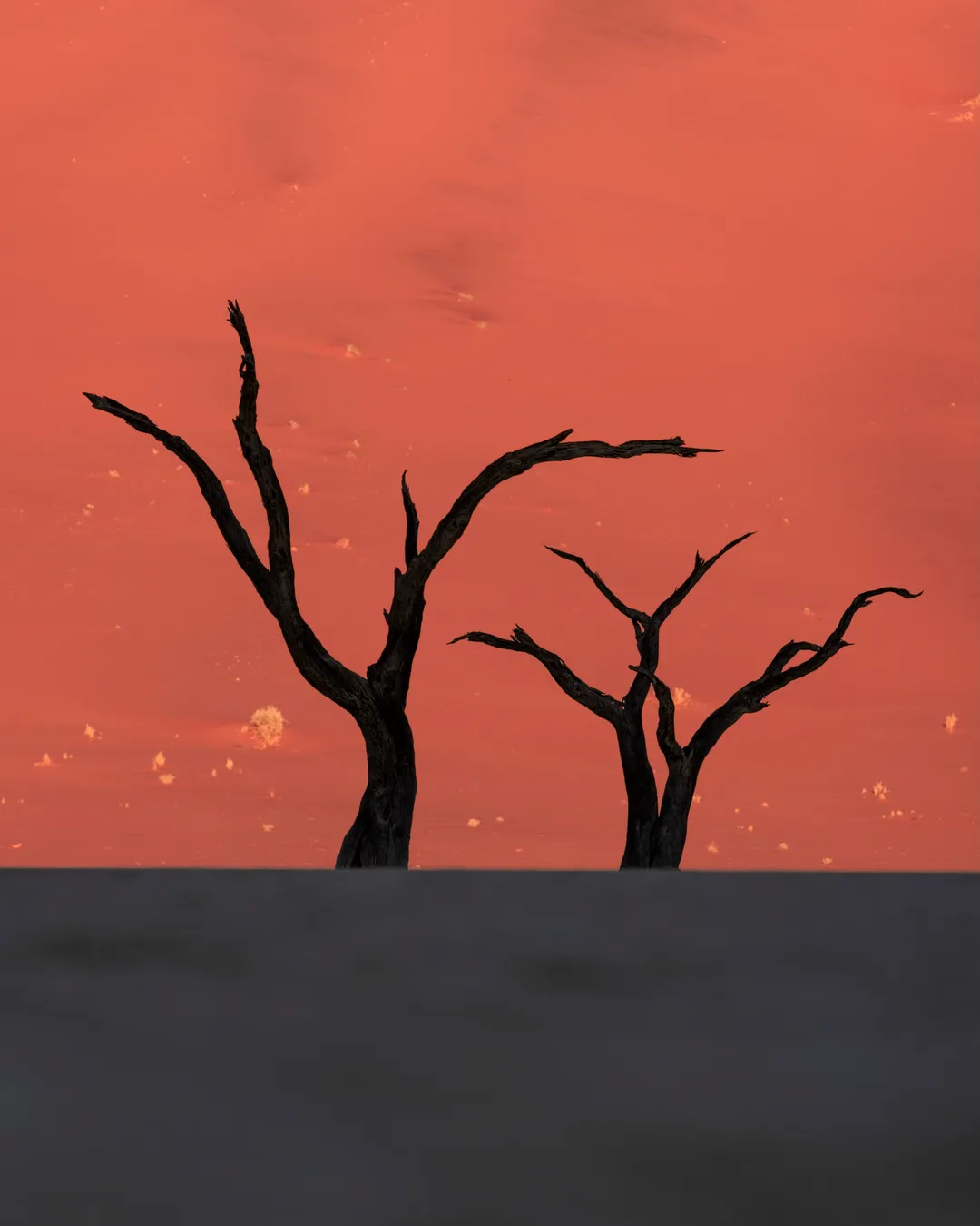 Deadvlei