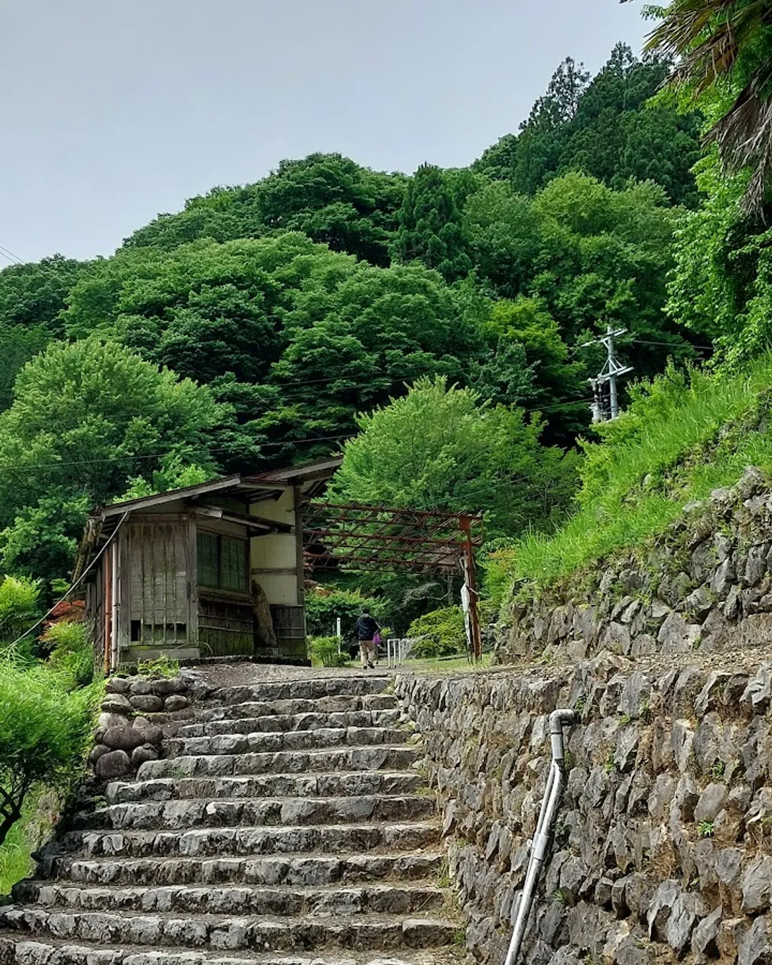 Jomon Limestone Cave - Rural Travels, Japan - Rexby