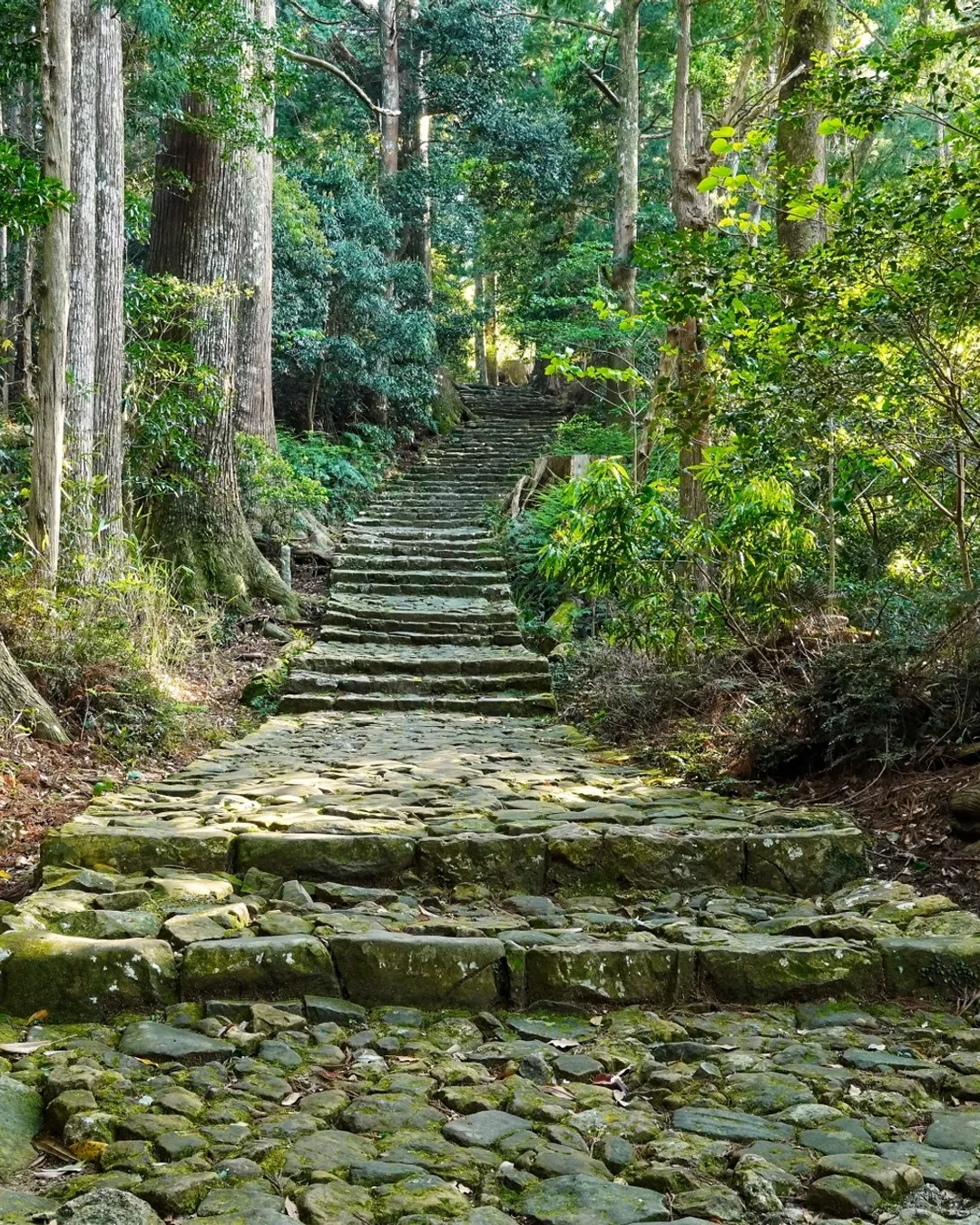 Kumano Kodo Nakahechi Pilgrimage Route