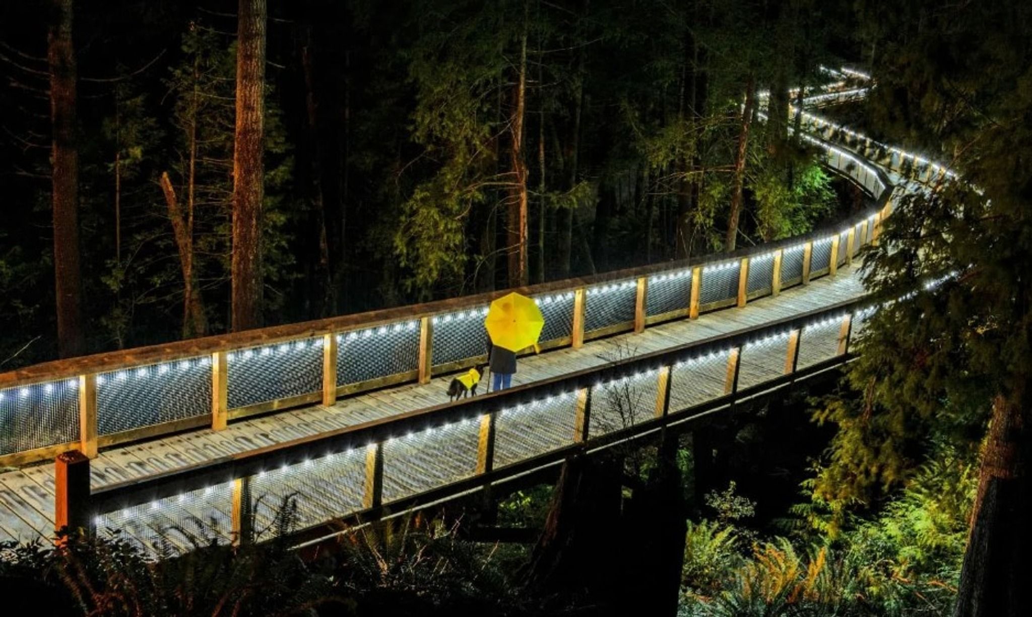 Trestle Bridge at the Mountain Path