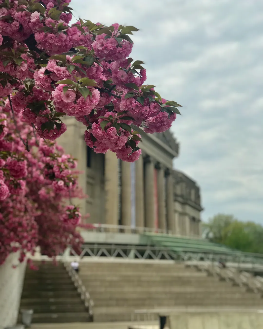 Brooklyn Museum