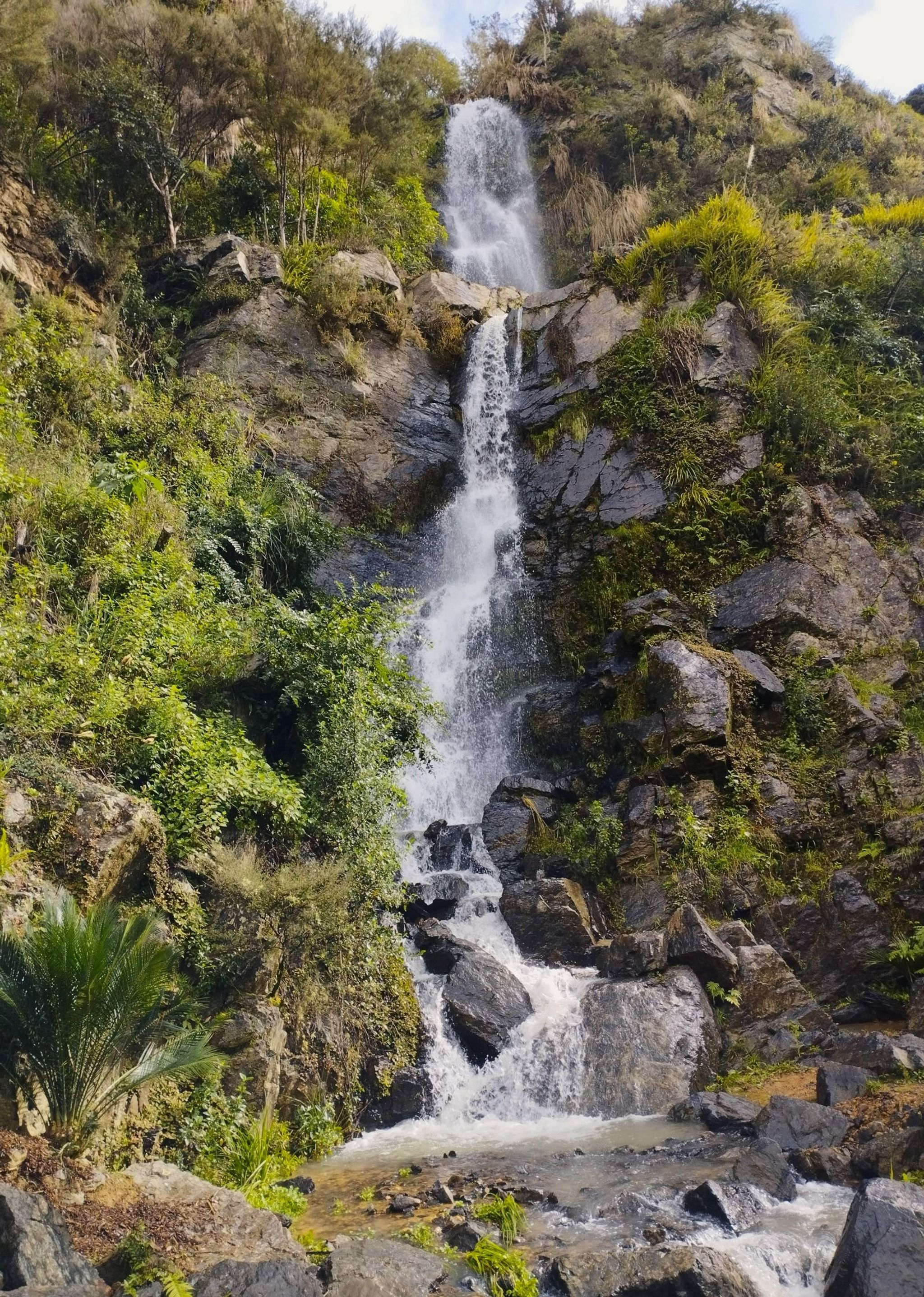 Whangārei Quarry Gardens