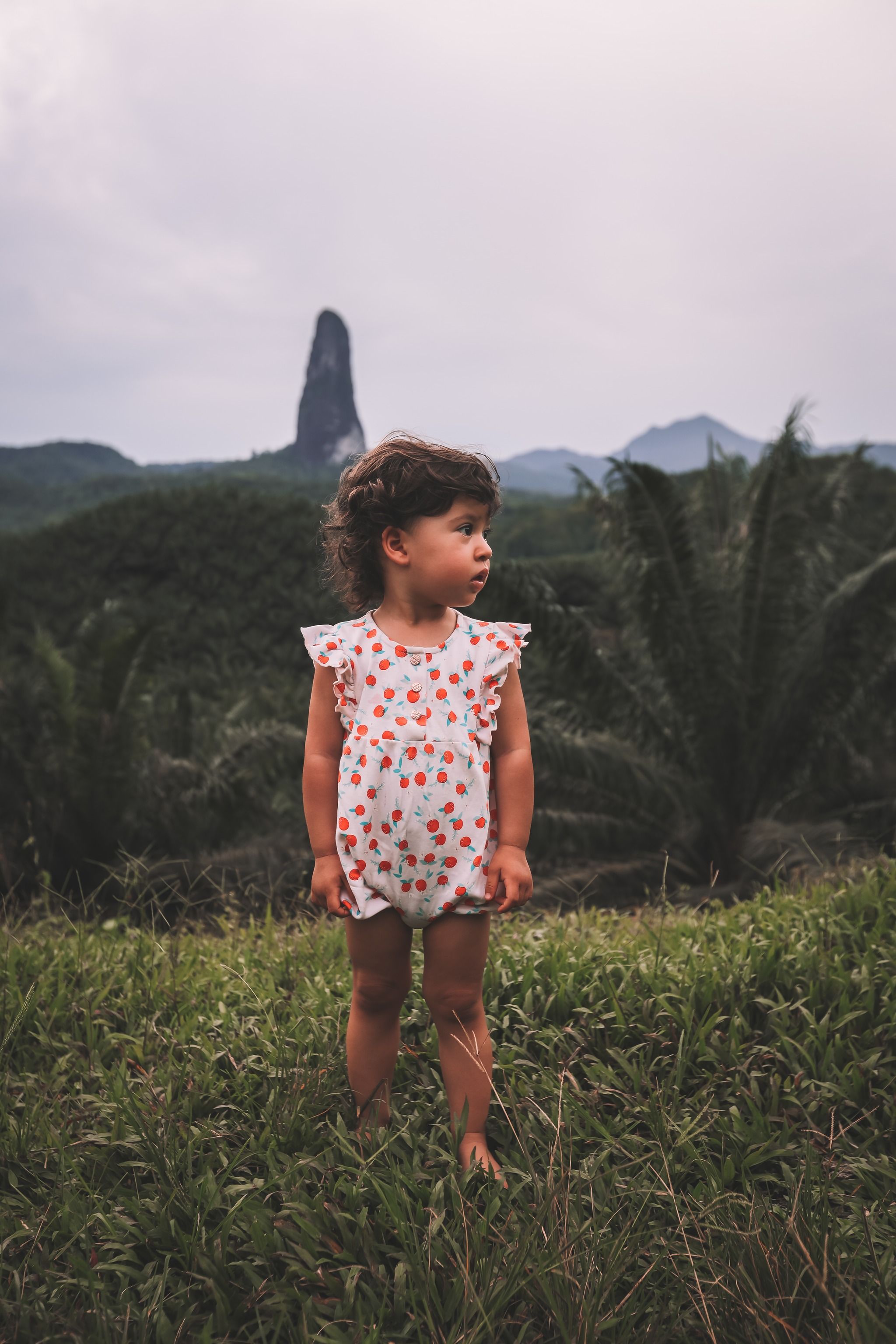 Pico Cão Grande View Point