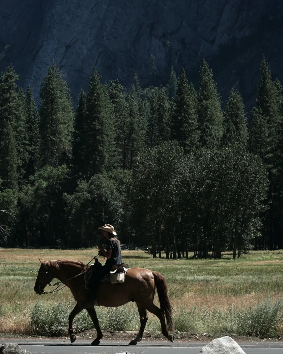 Parco nazionale di Yosemite