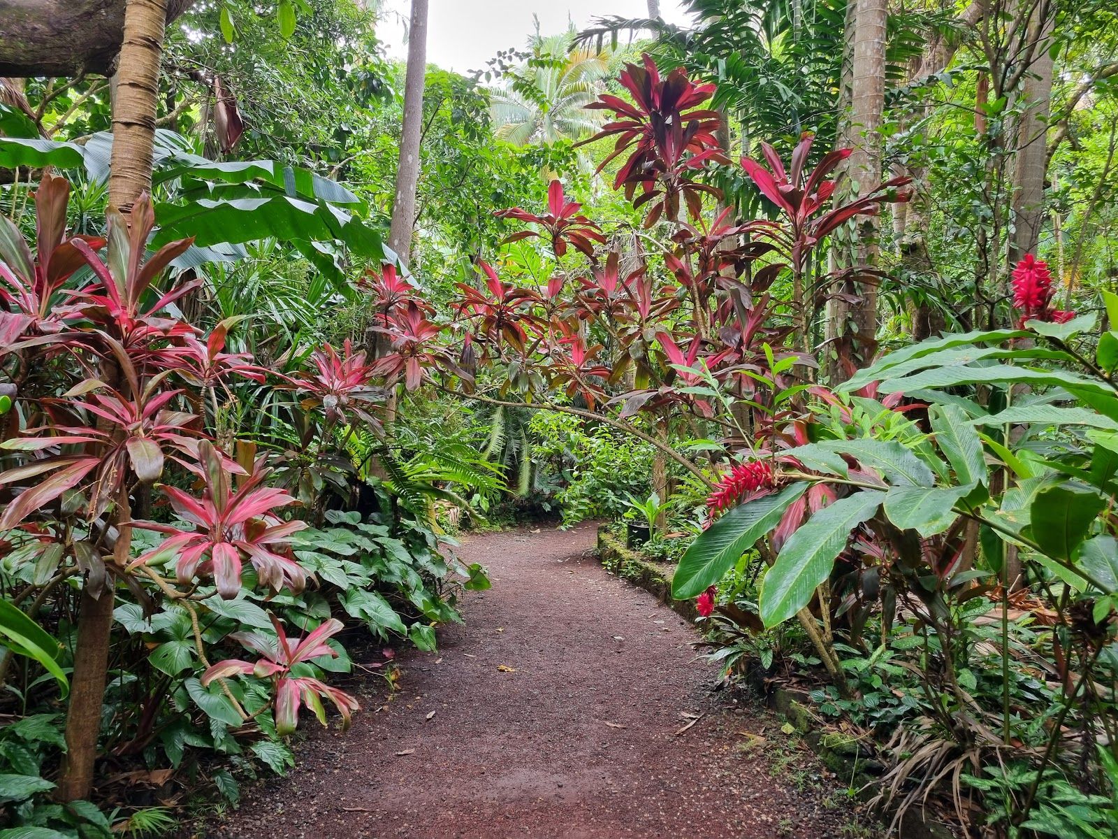 Jardin des Parfums et des Épices