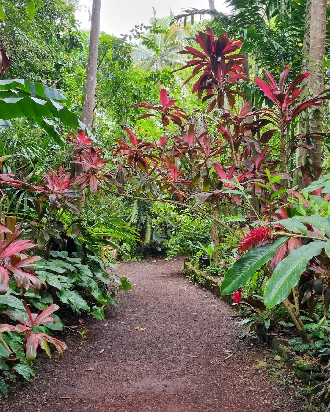 Jardin des Parfums et des Épices