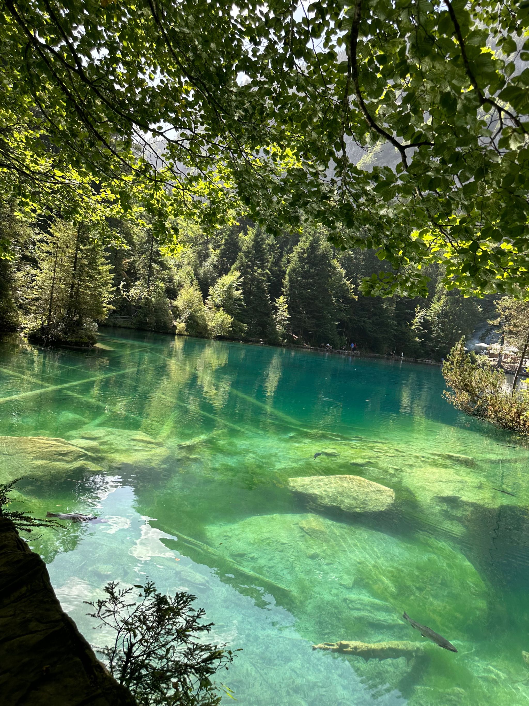 Blausee