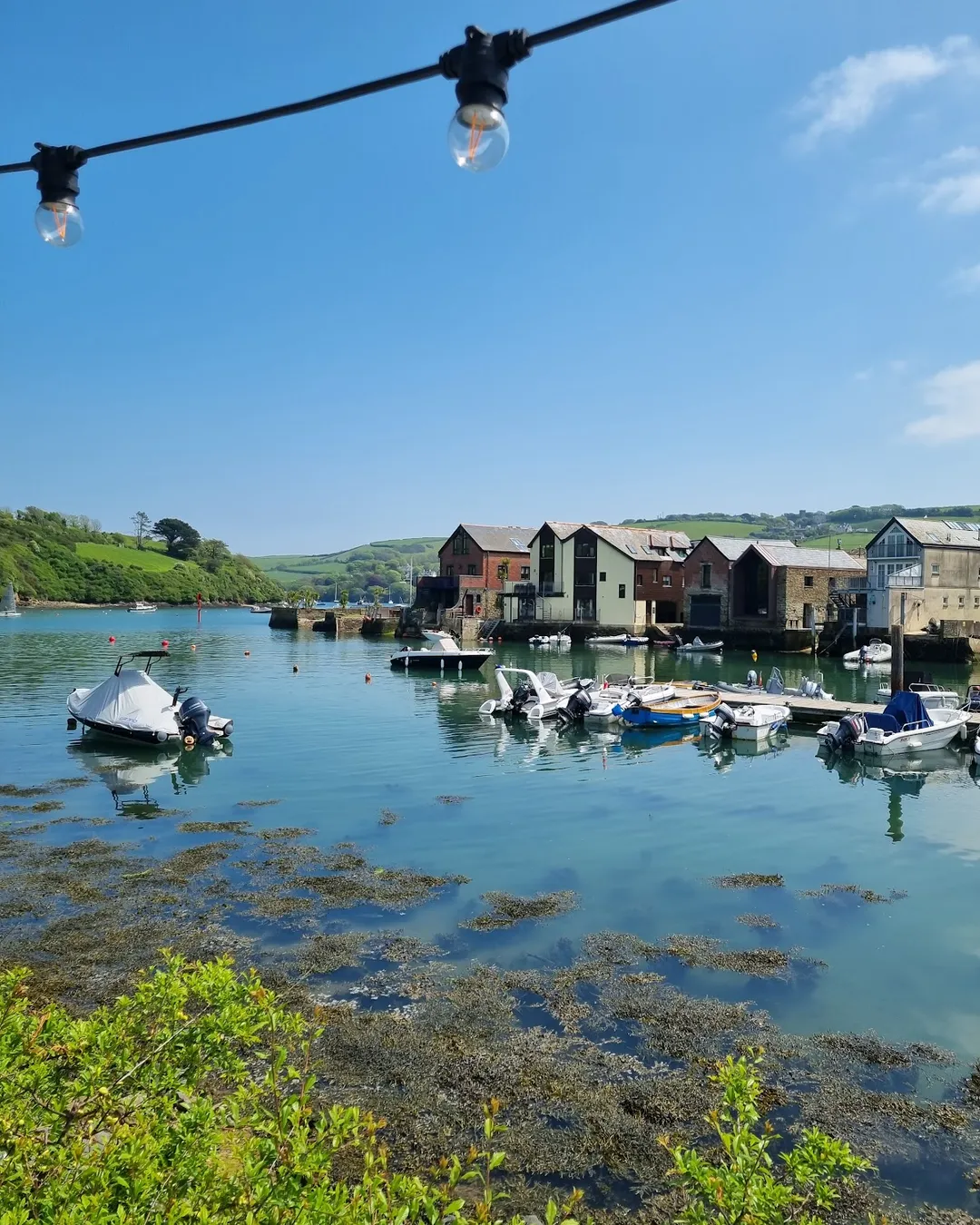 Crab Shed Salcombe