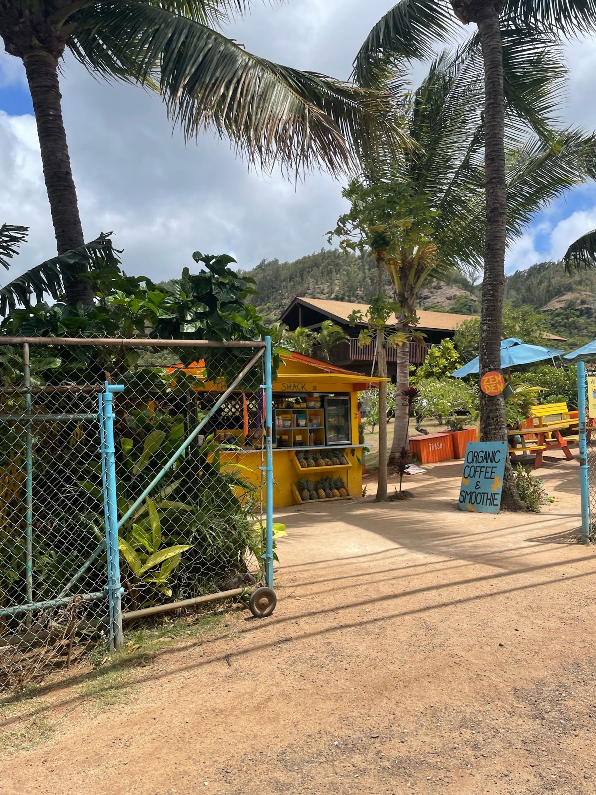The Sunrise Shack - Sharks Cove