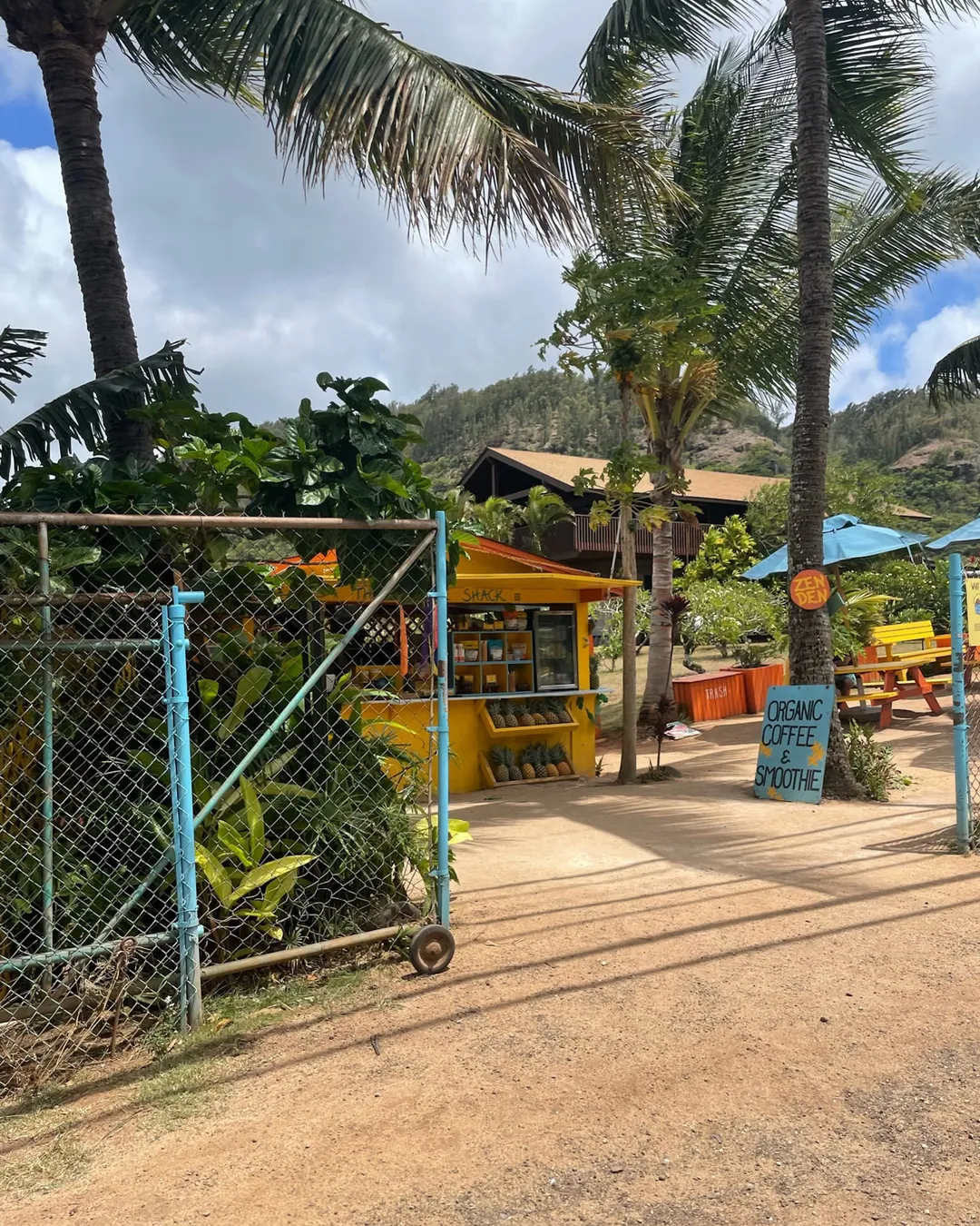 The Sunrise Shack - Sharks Cove