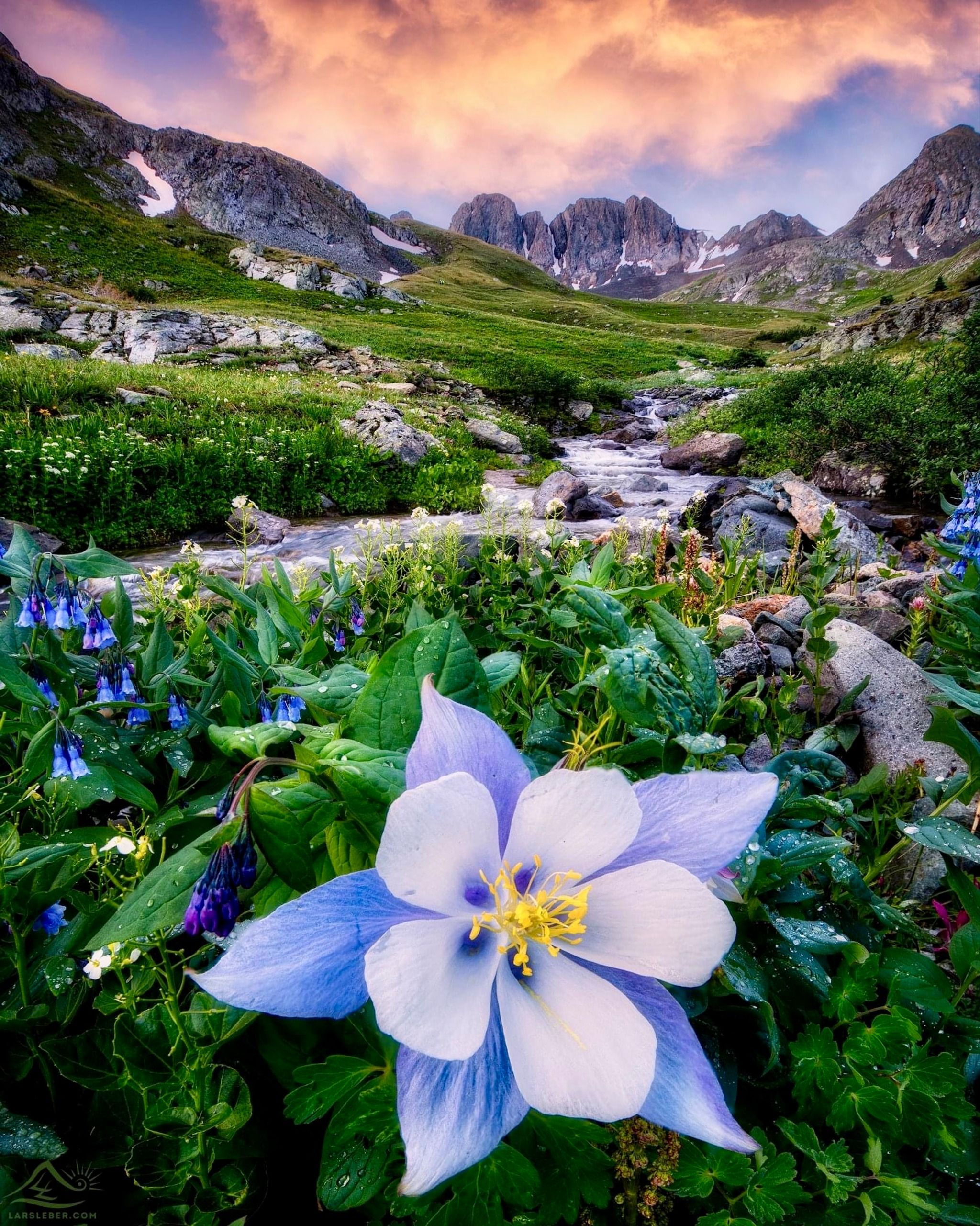 American Basin