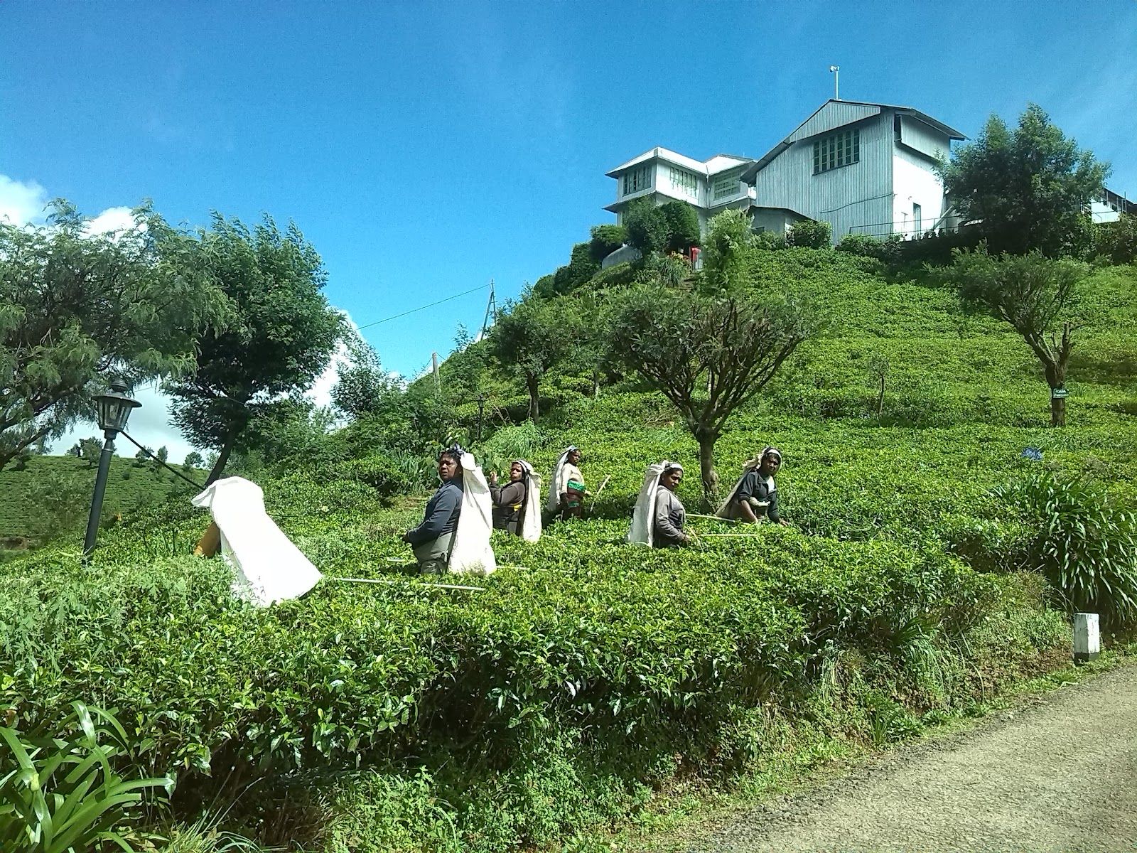 Distretto di Nuwara Eliya