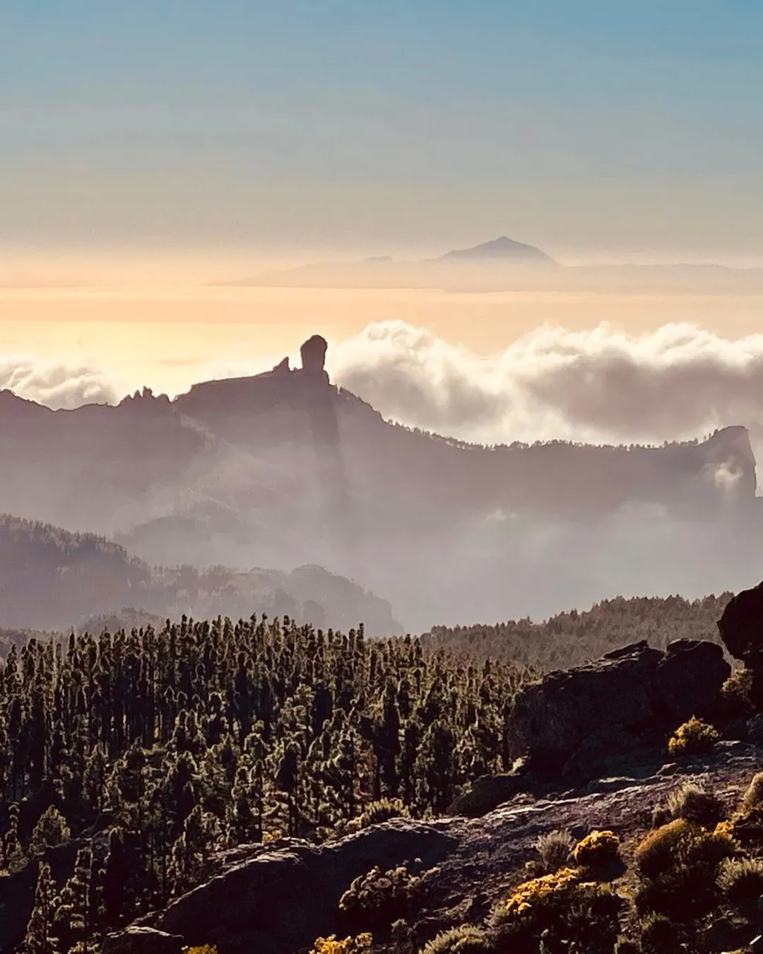 Pico de las Nieves