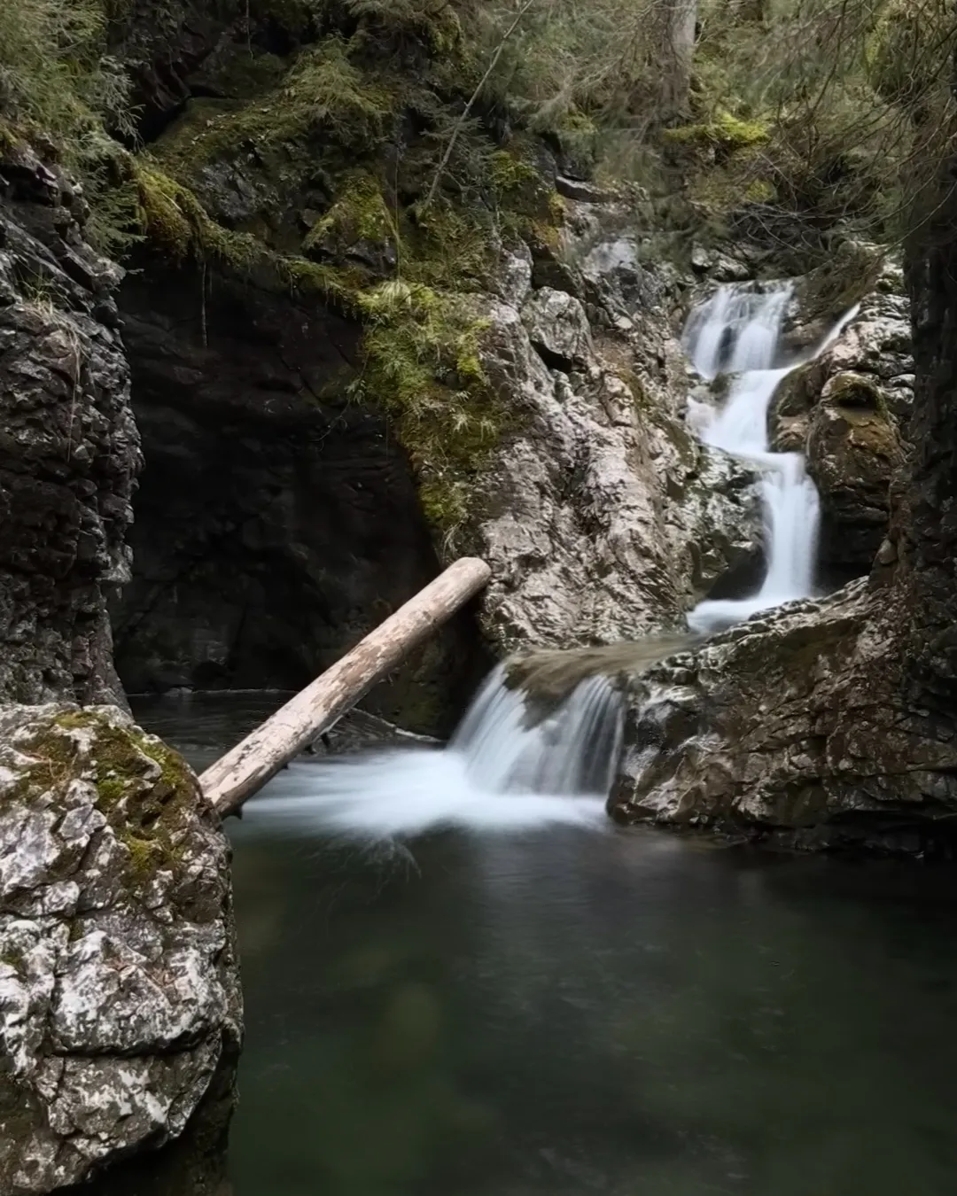Naturbrücke