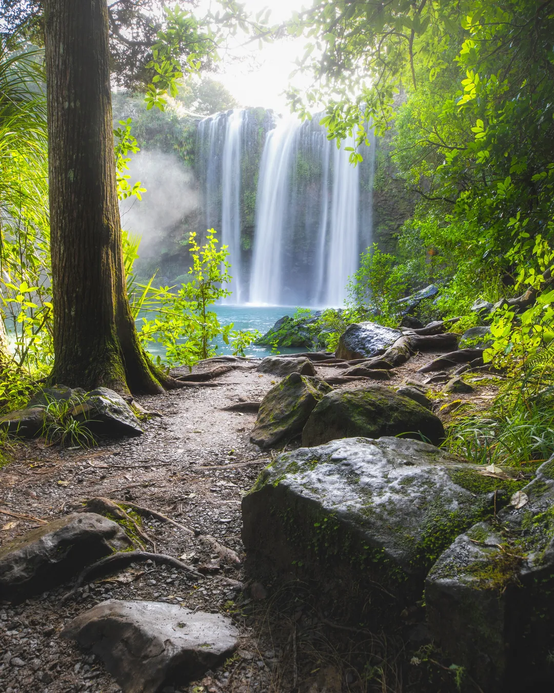 Whangarei Falls Northland