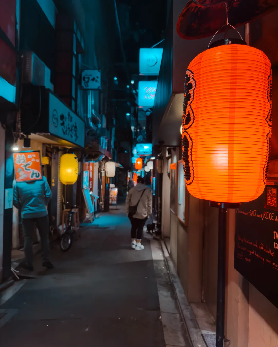 Pontocho Alley