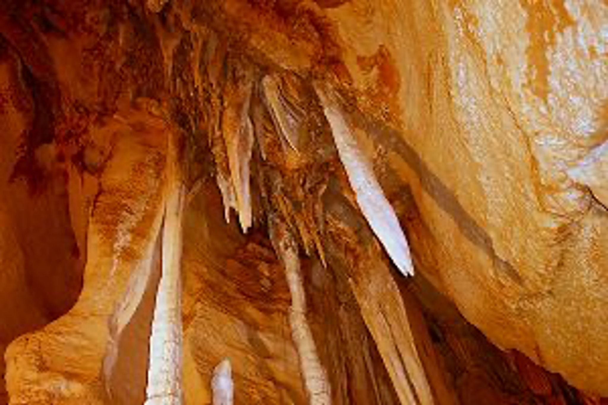 Cutta Cutta Caves