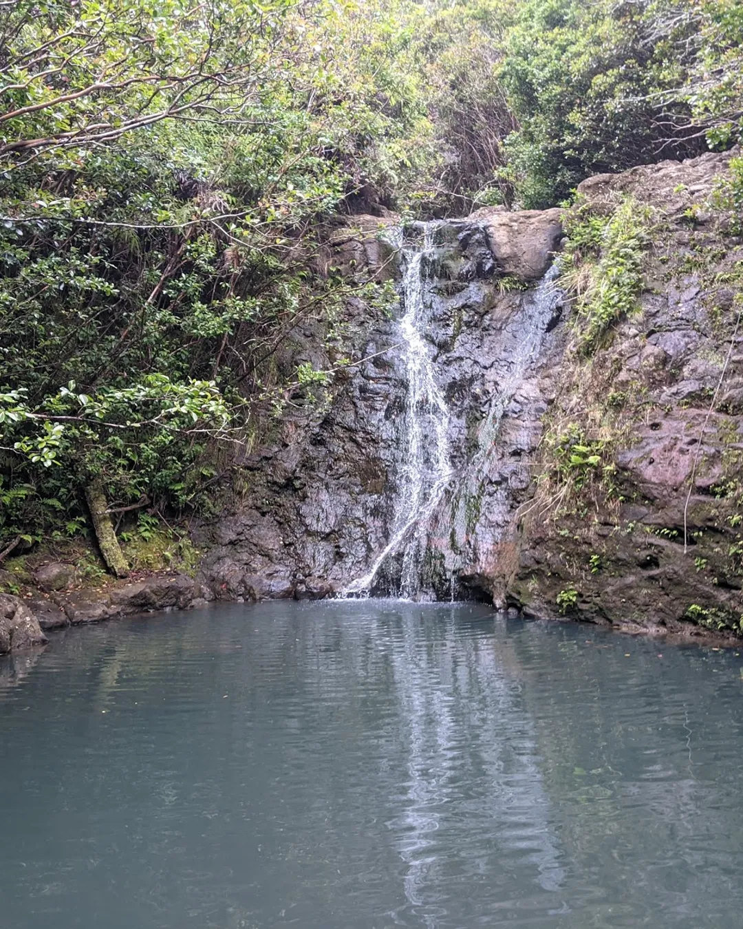 Lāʻie Falls Trail