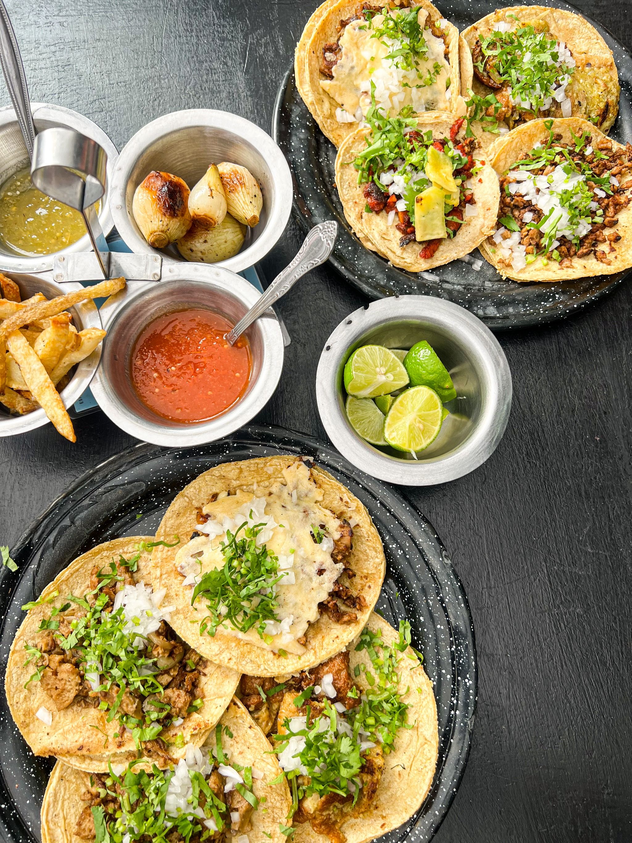 Por Siempre Vegana 2