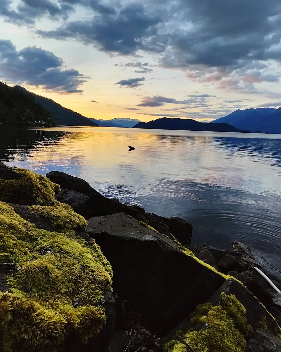 Harrison Hot Springs Resort