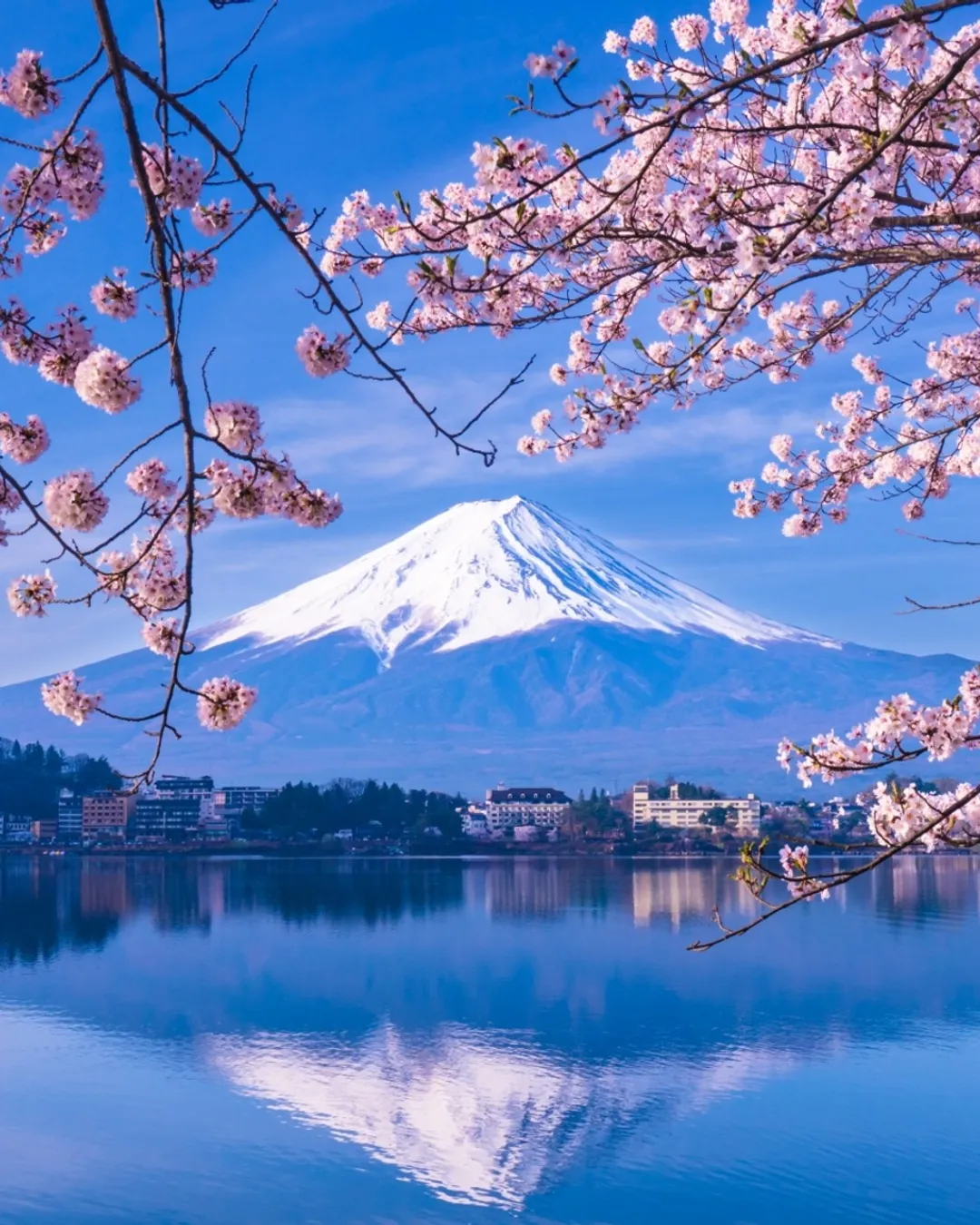 Lake Kawaguchi