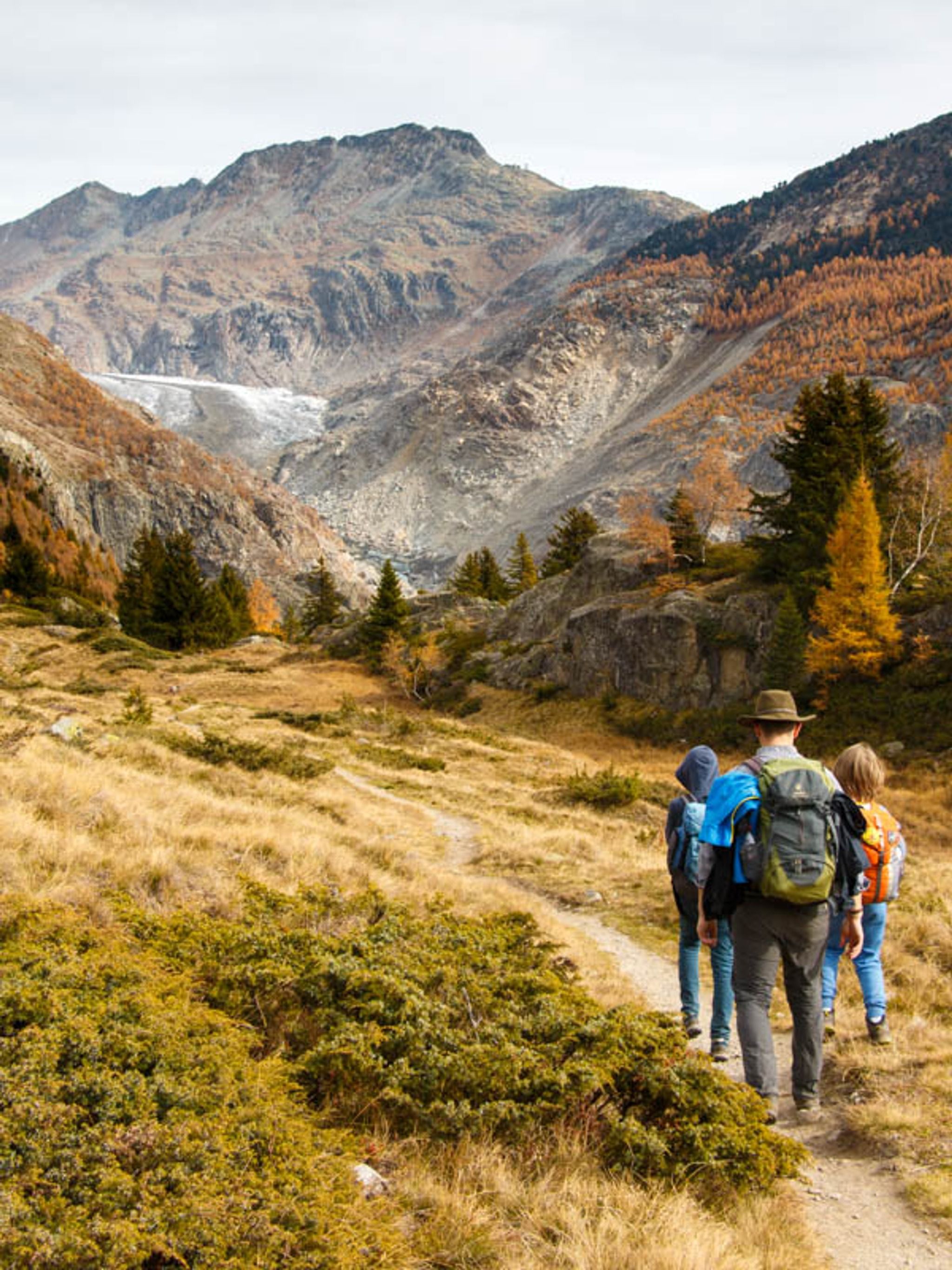 Aletsch Panorama Trail