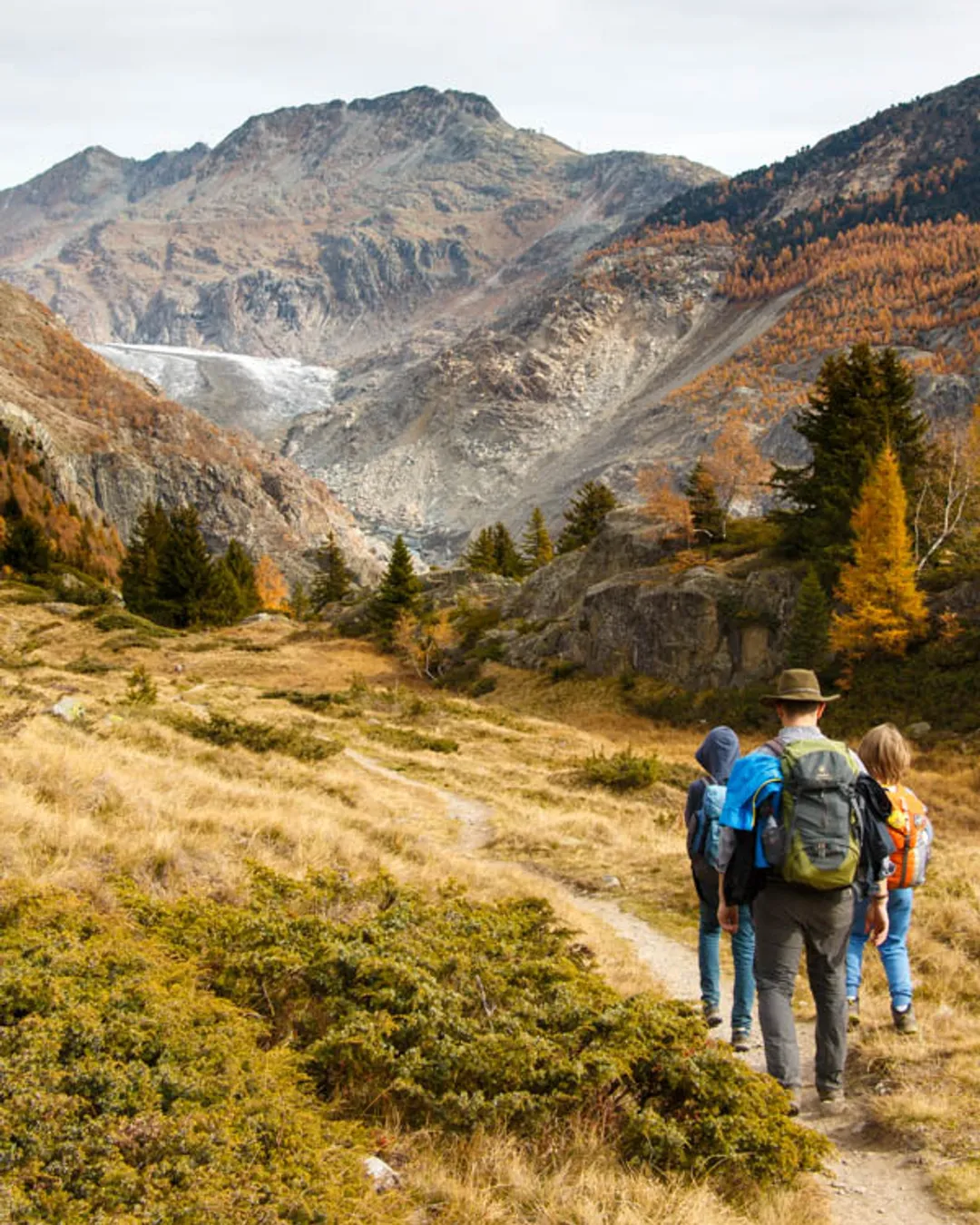 Aletsch Panorama Trail