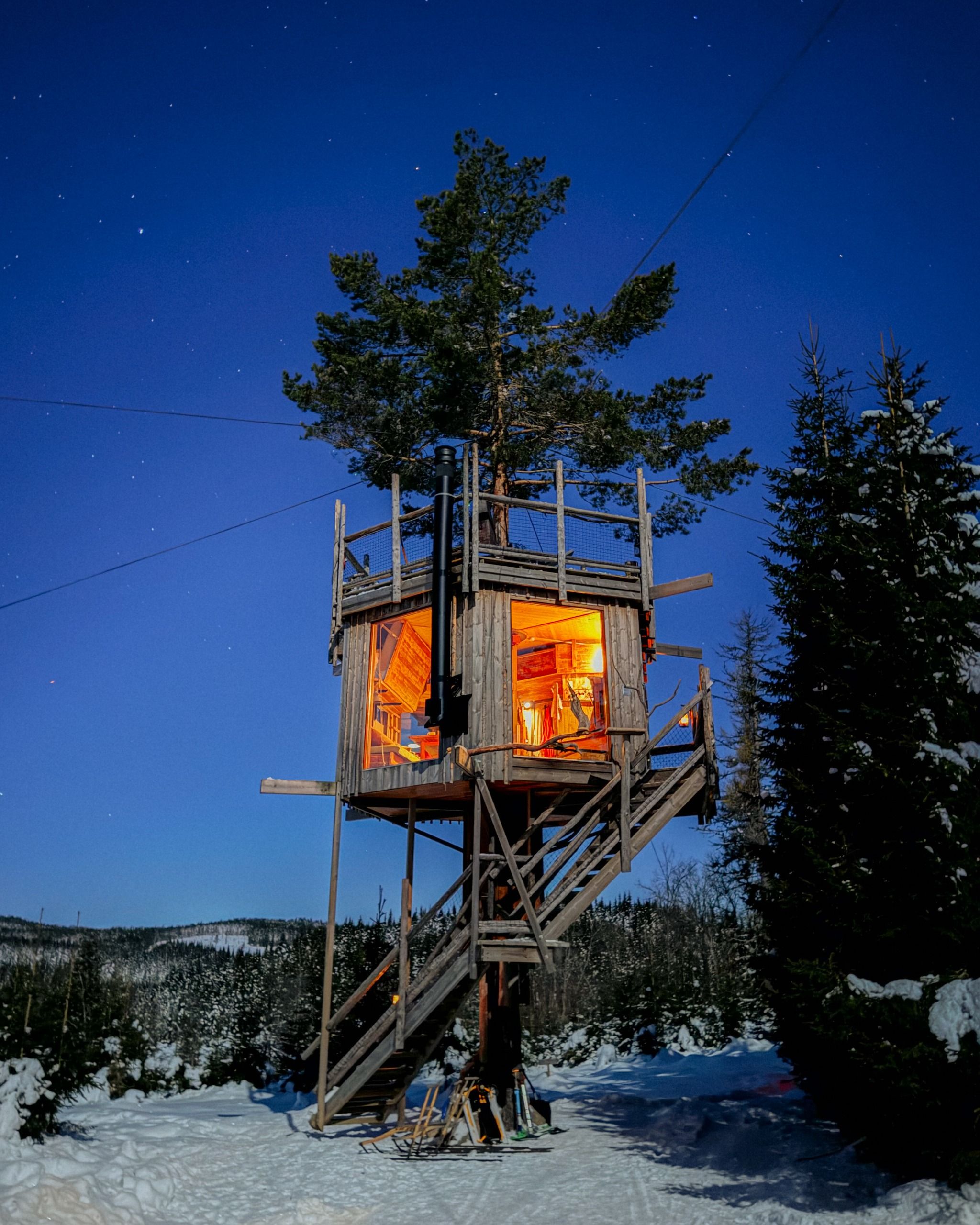Tretopphytter - Tree Top Hut