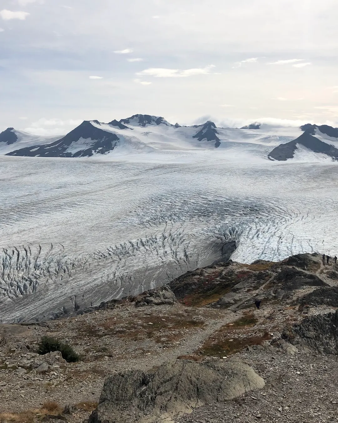 Harding Icefield
