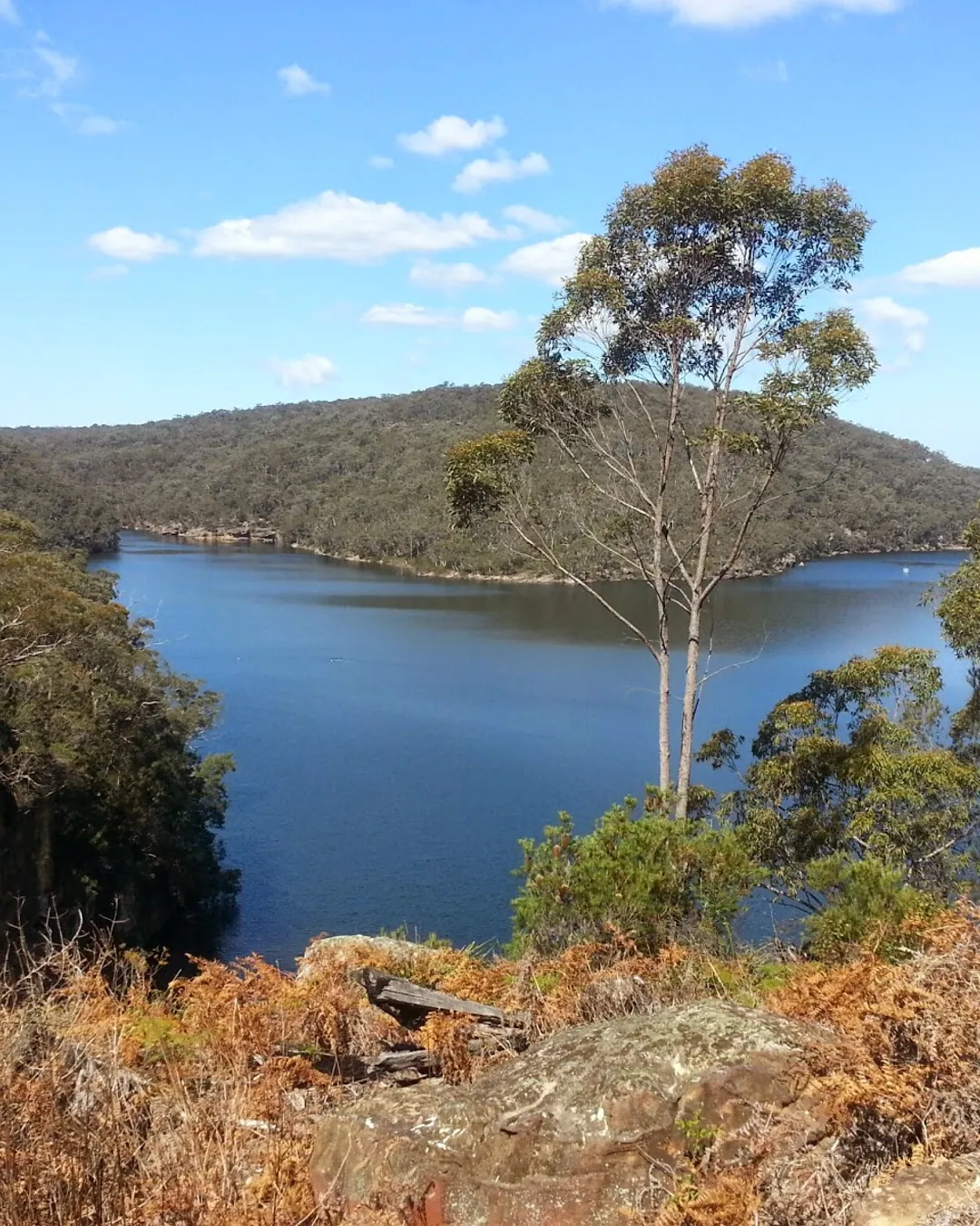 Avon Dam Road