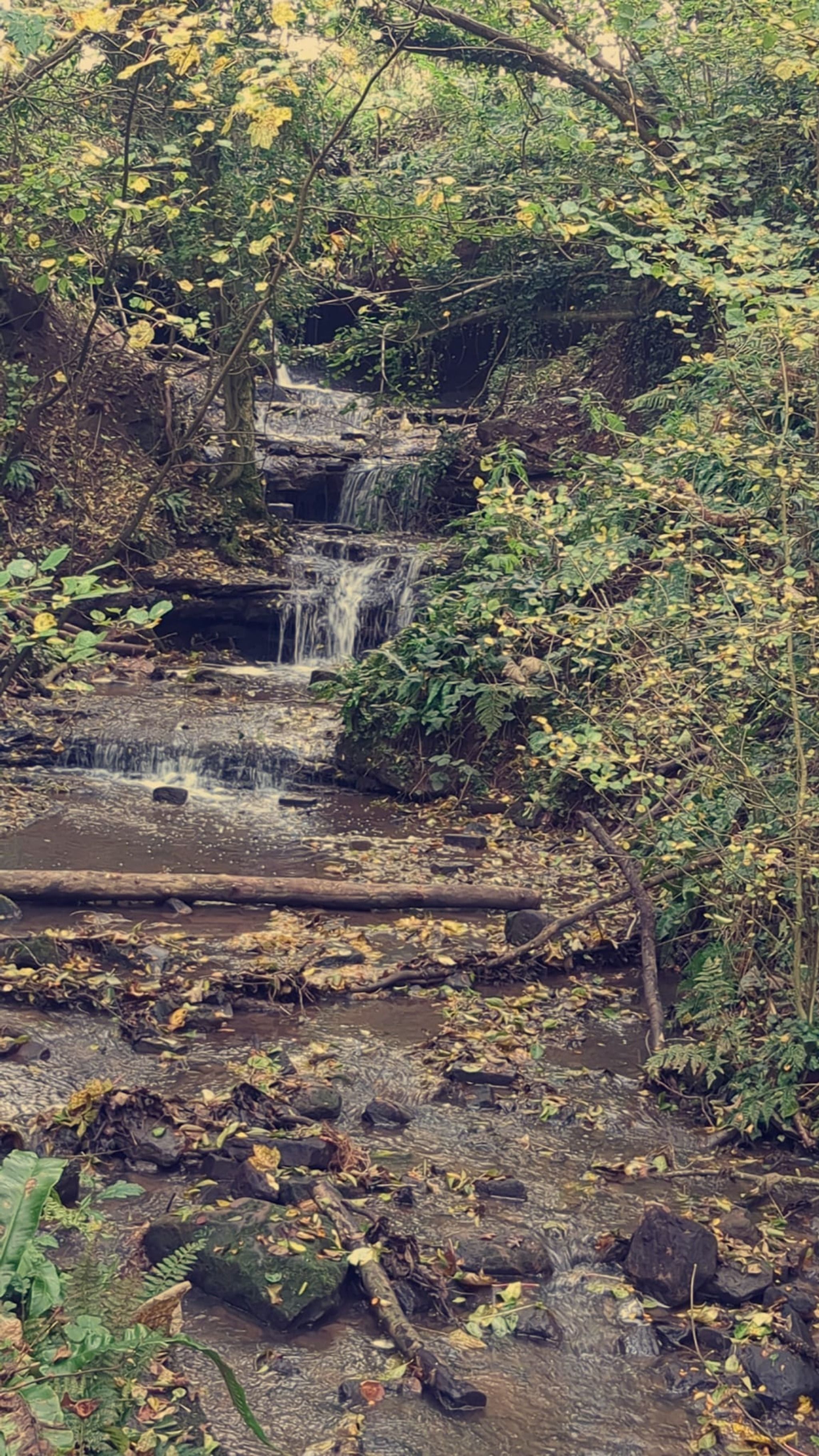 Ombersley Waterfall