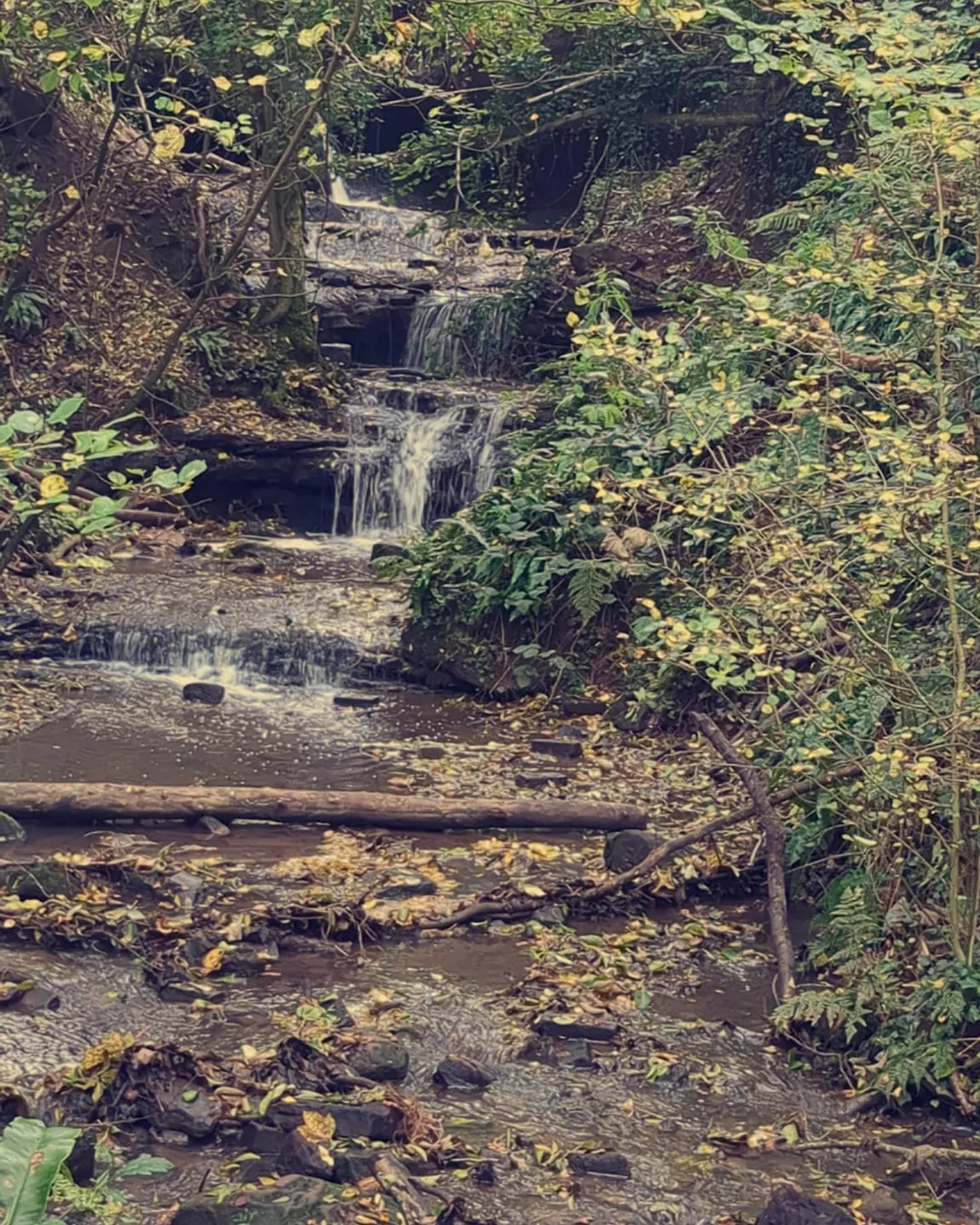 Ombersley Waterfall