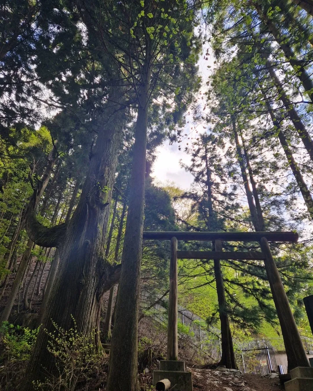 Mitake Rock Garden