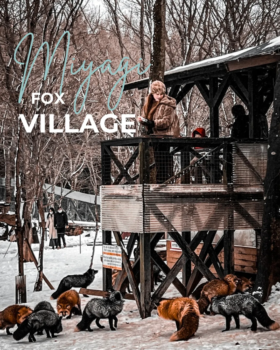 Zaō Fox Village